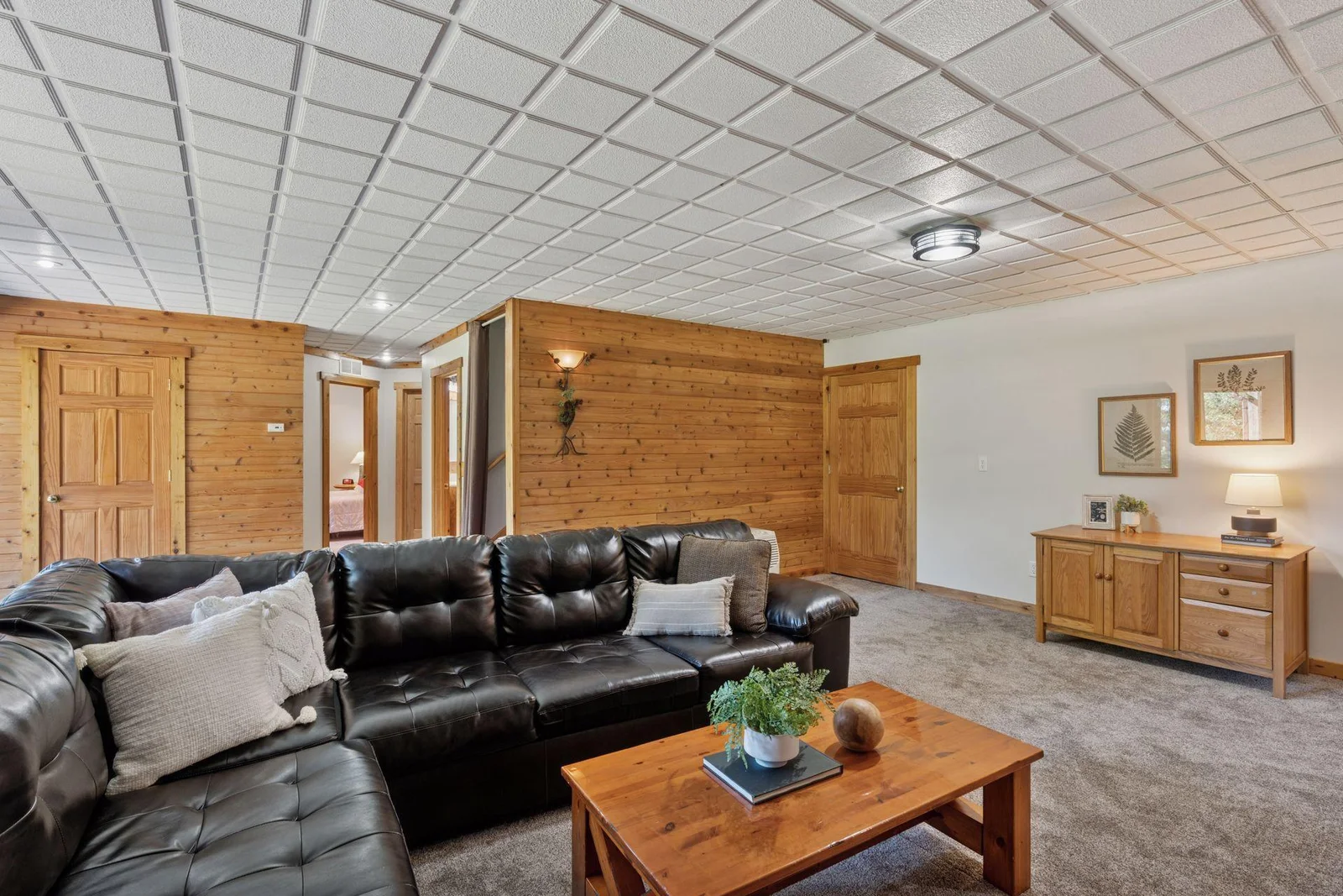 Lower level family room