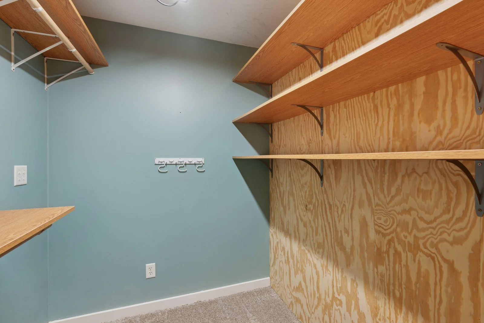 Walk-in closet in large lower level bedroom