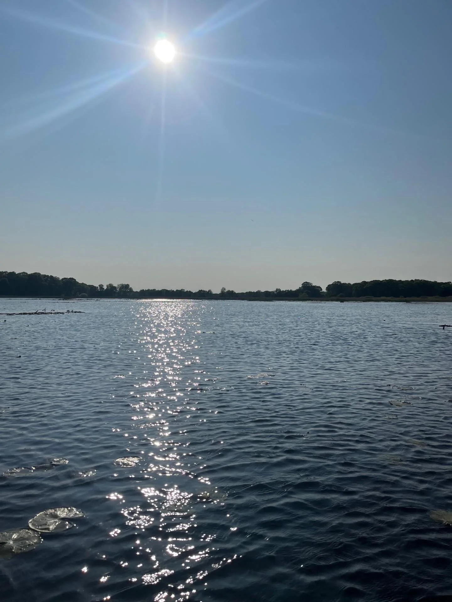 Sparkling Lakefront