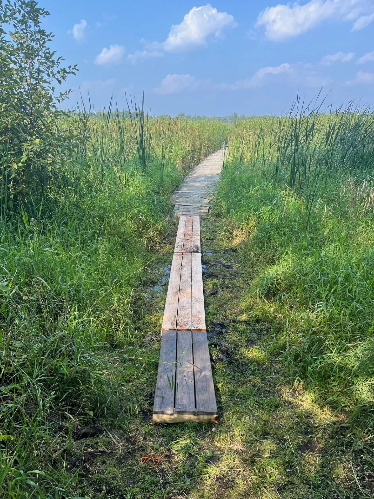 Take a walk to the lake