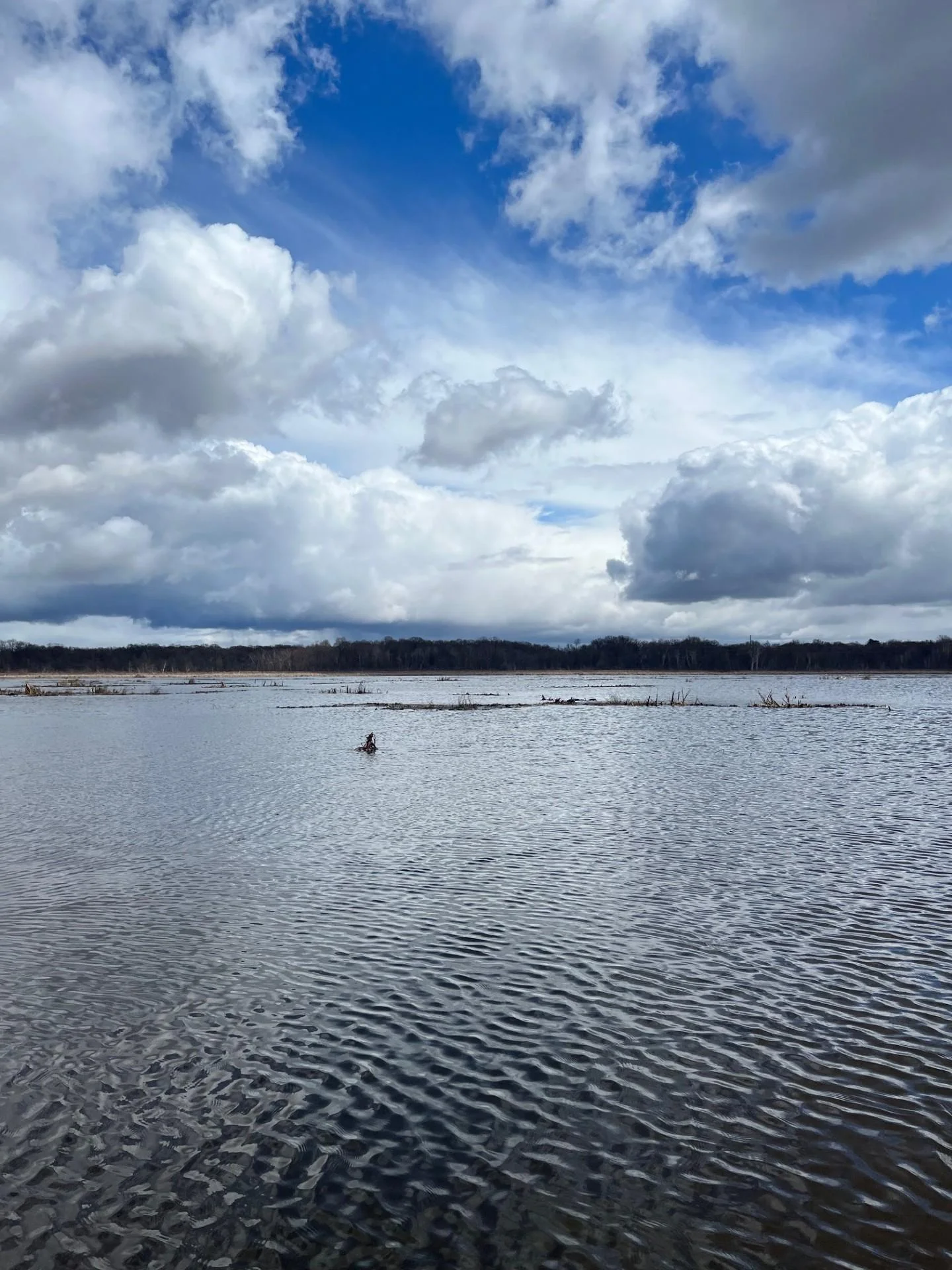 Lakefront