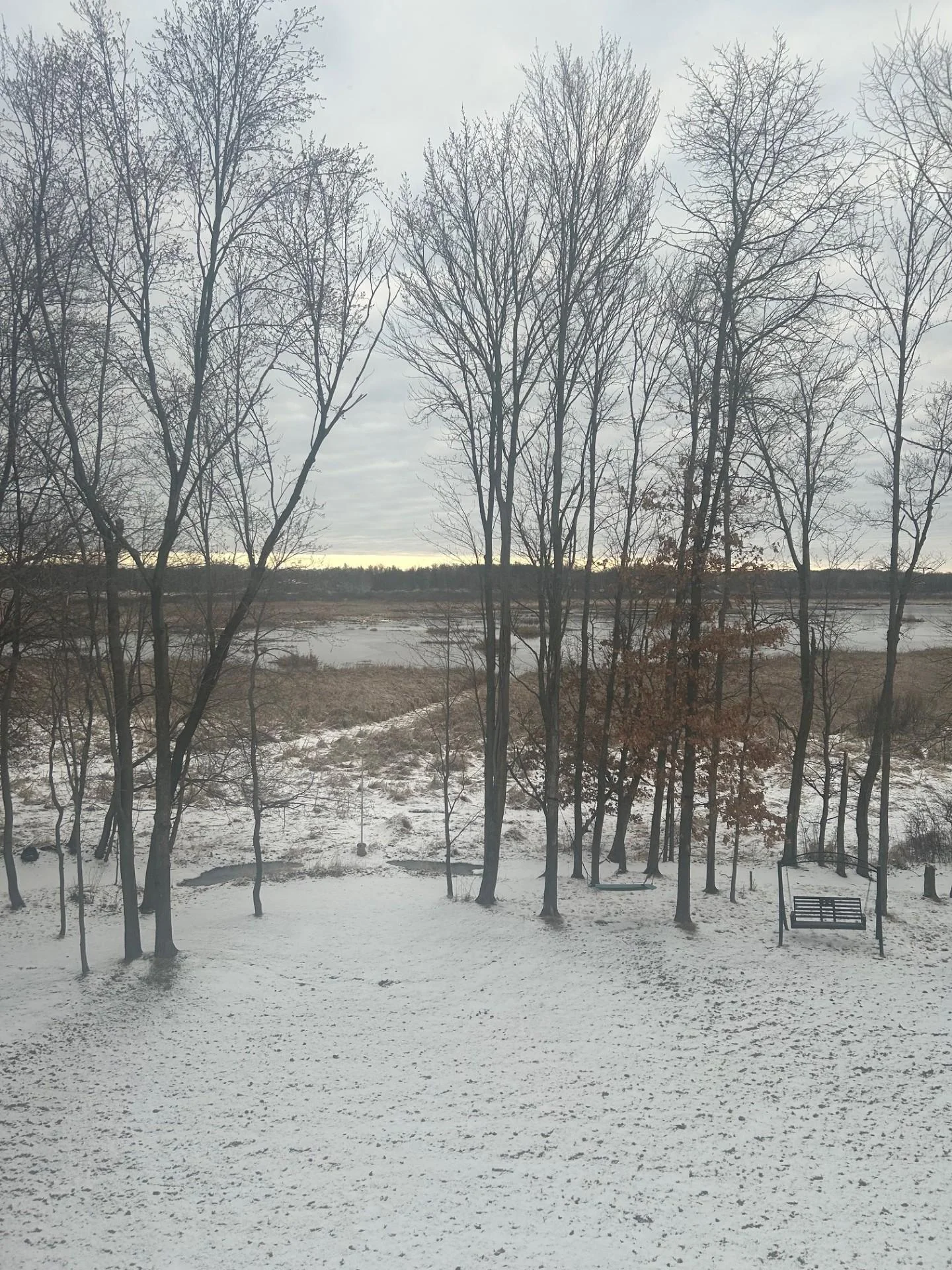 Peaceful winter view