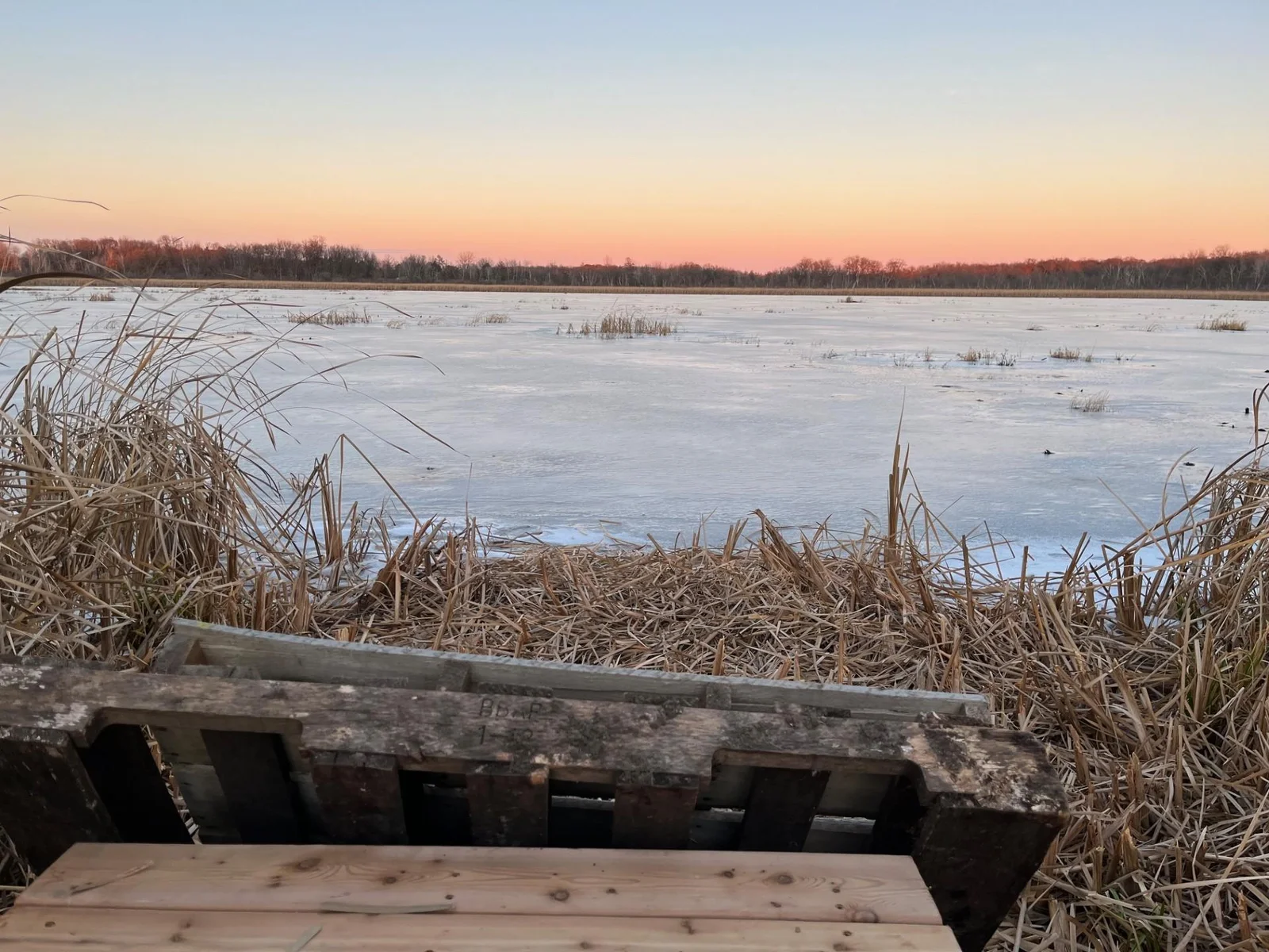 Sunrise over Ward Lake