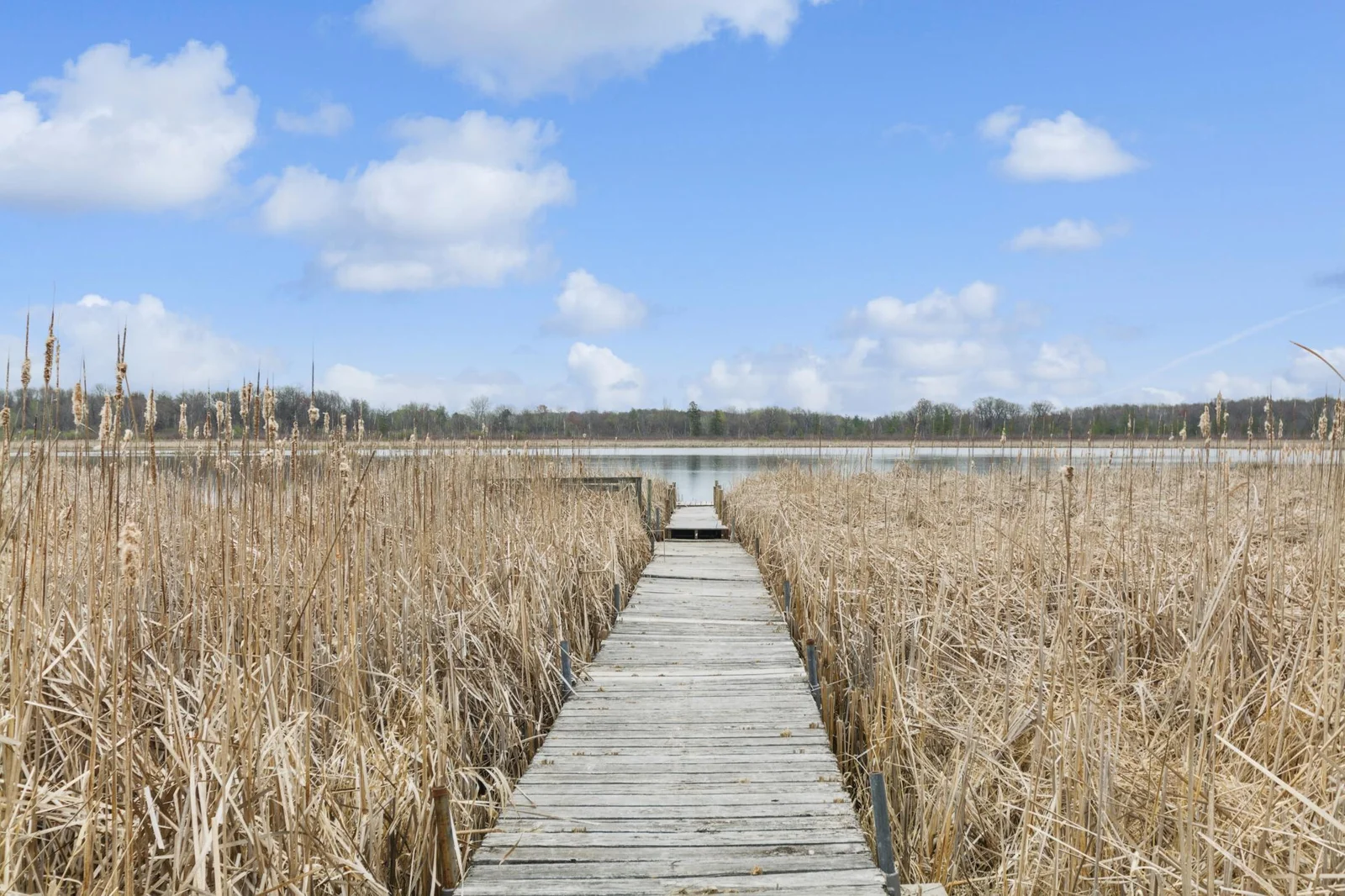 Dock and boardwalk included in sale