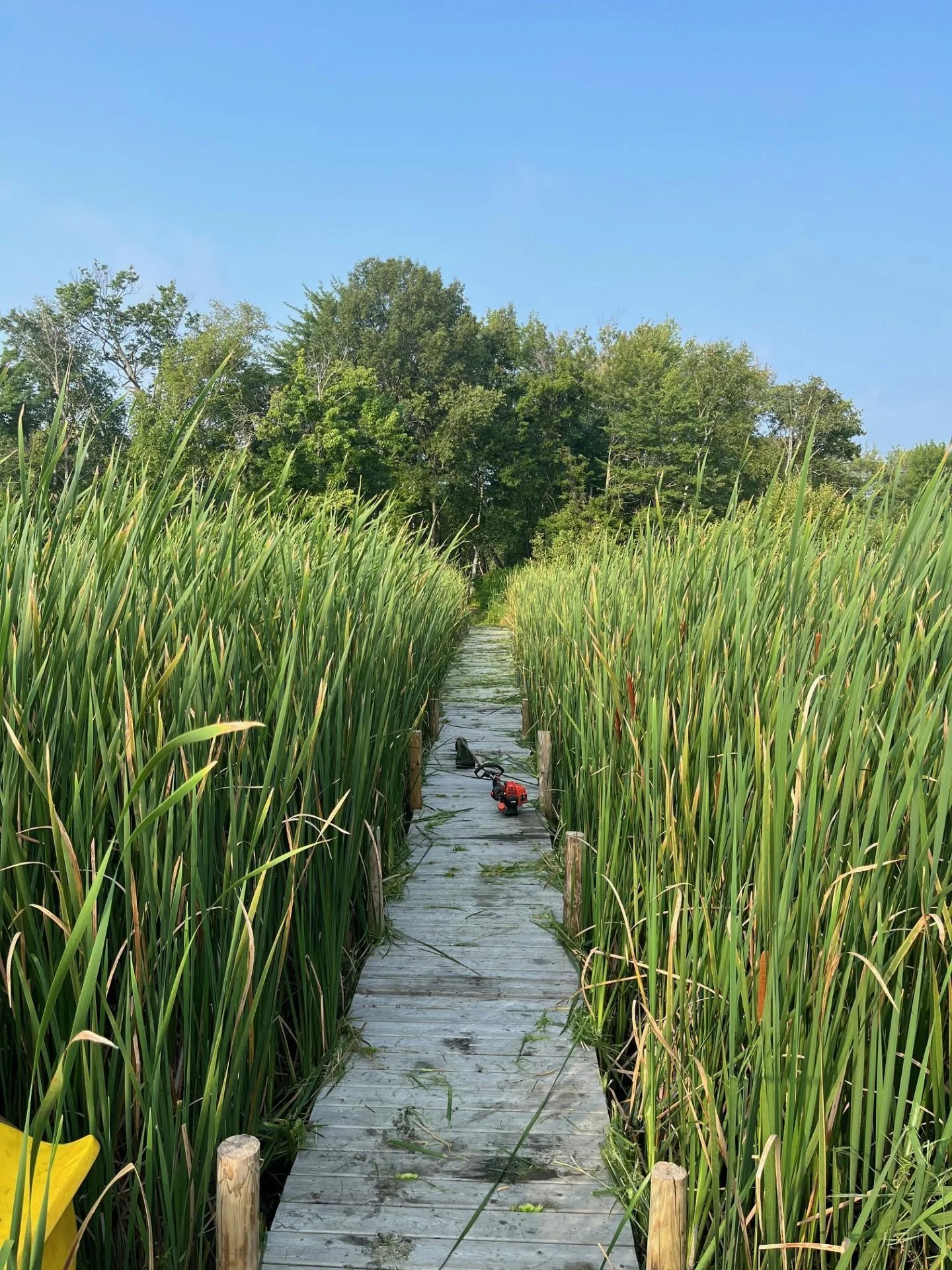 Boardwalk to the island