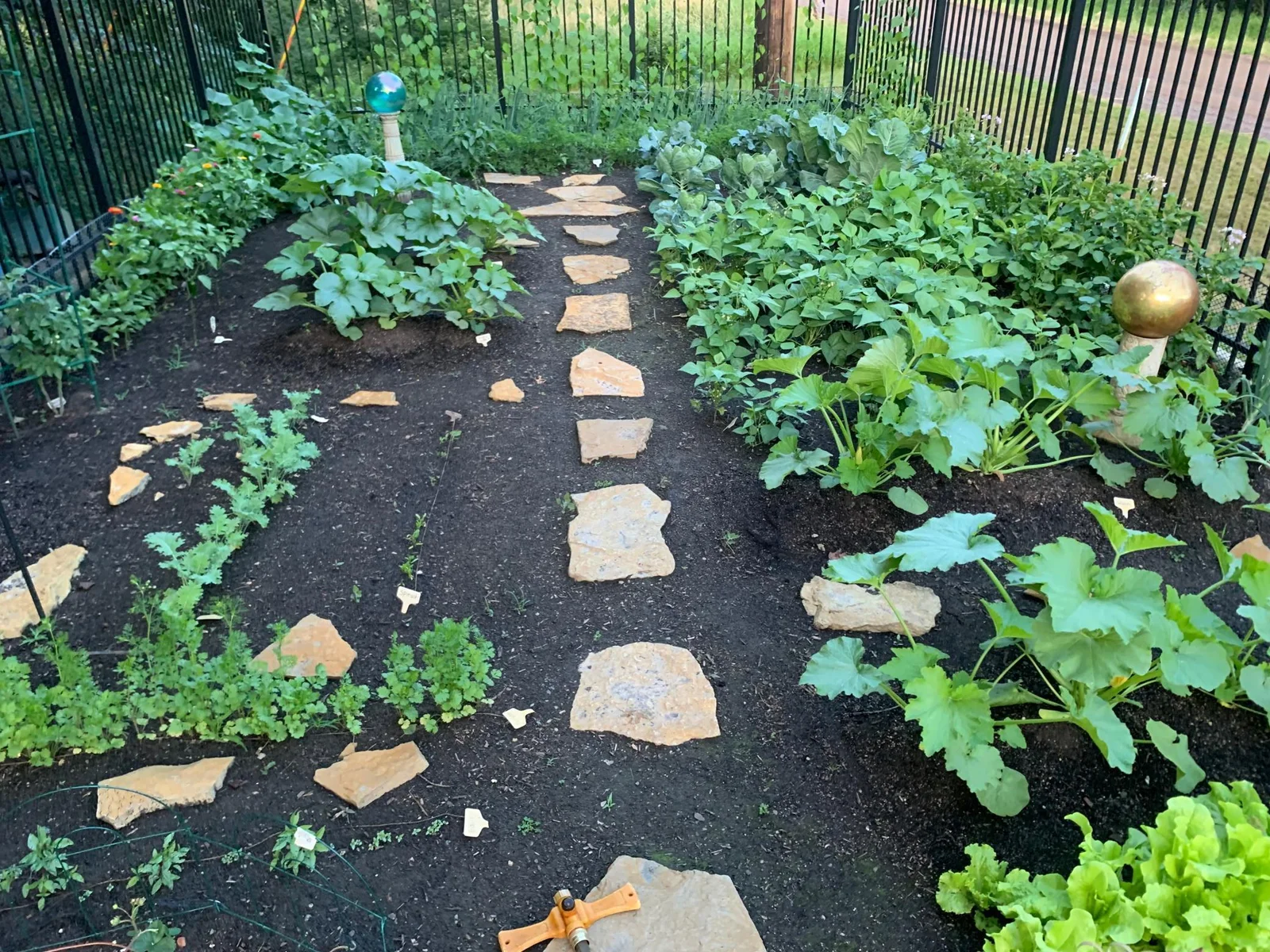 Fenced garden path