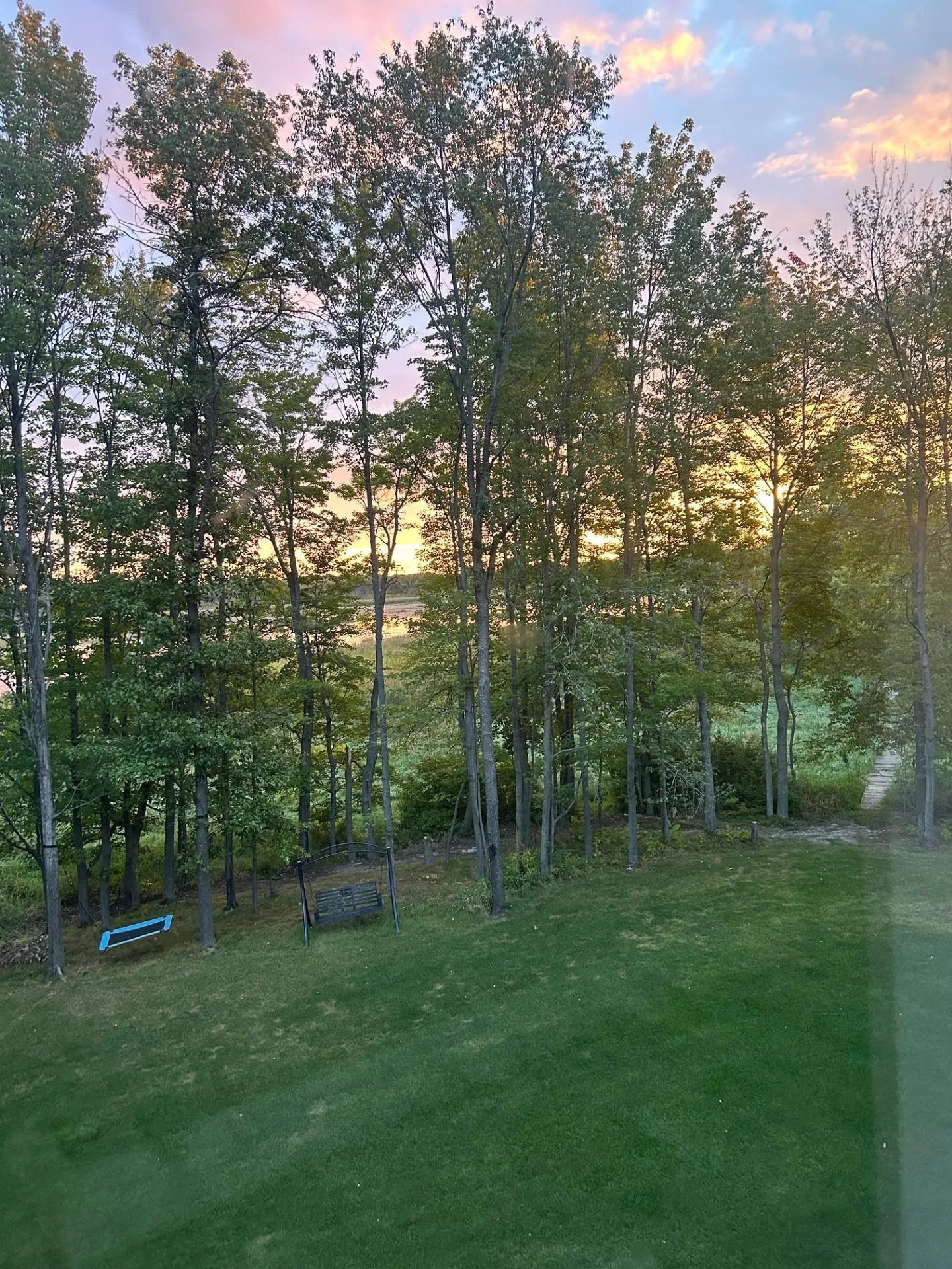 Summer views