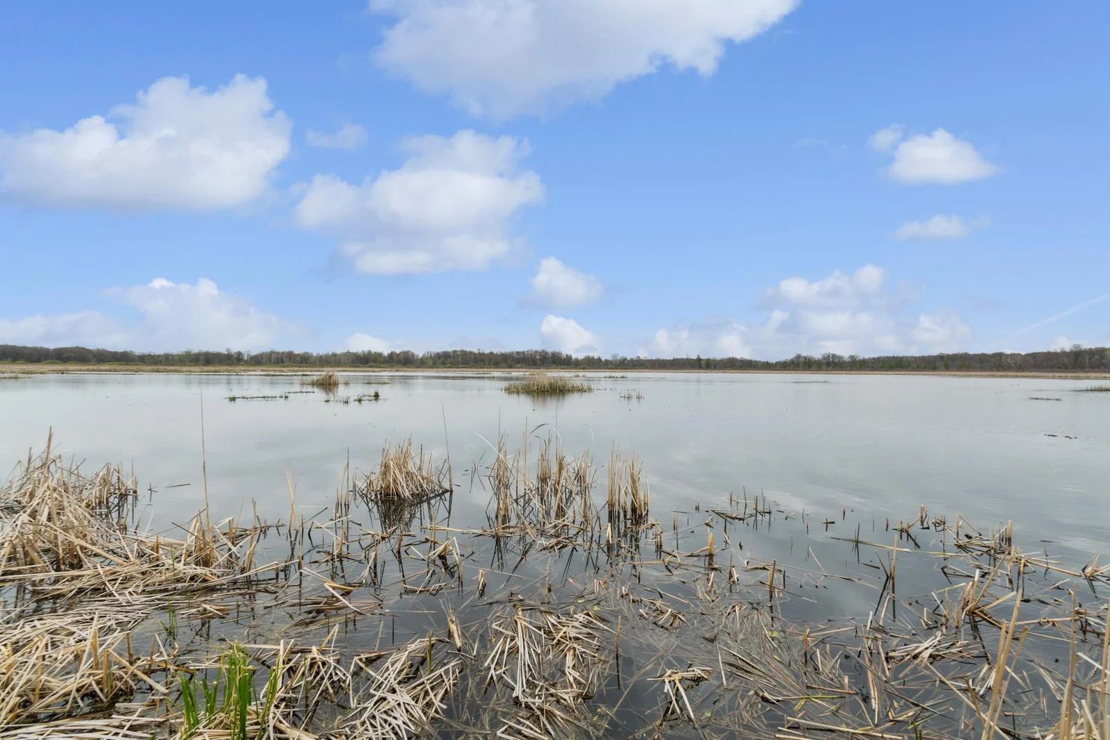 Ward Lake