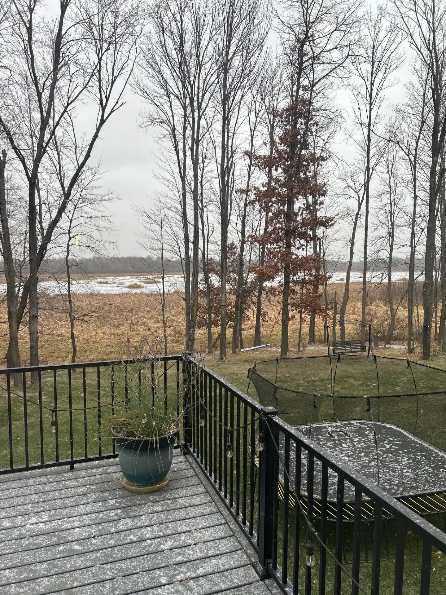 Off our deck