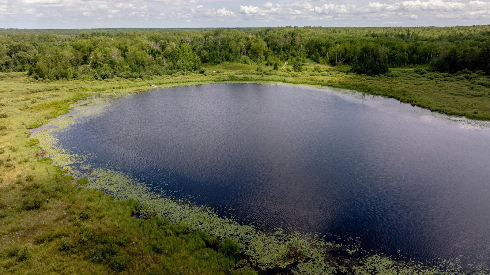 DJI_20250709040212_0056_D.jpeg
