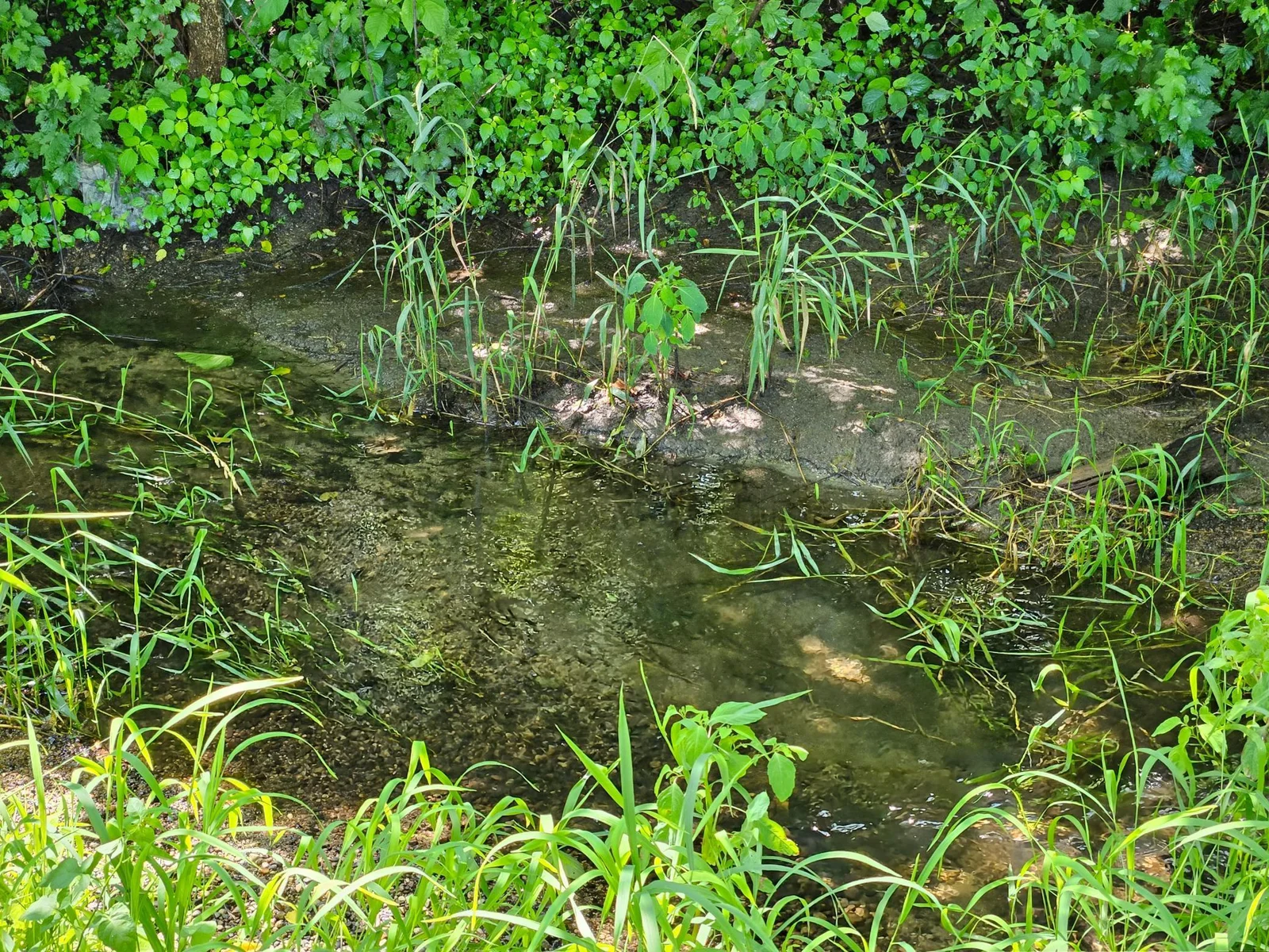 Creek