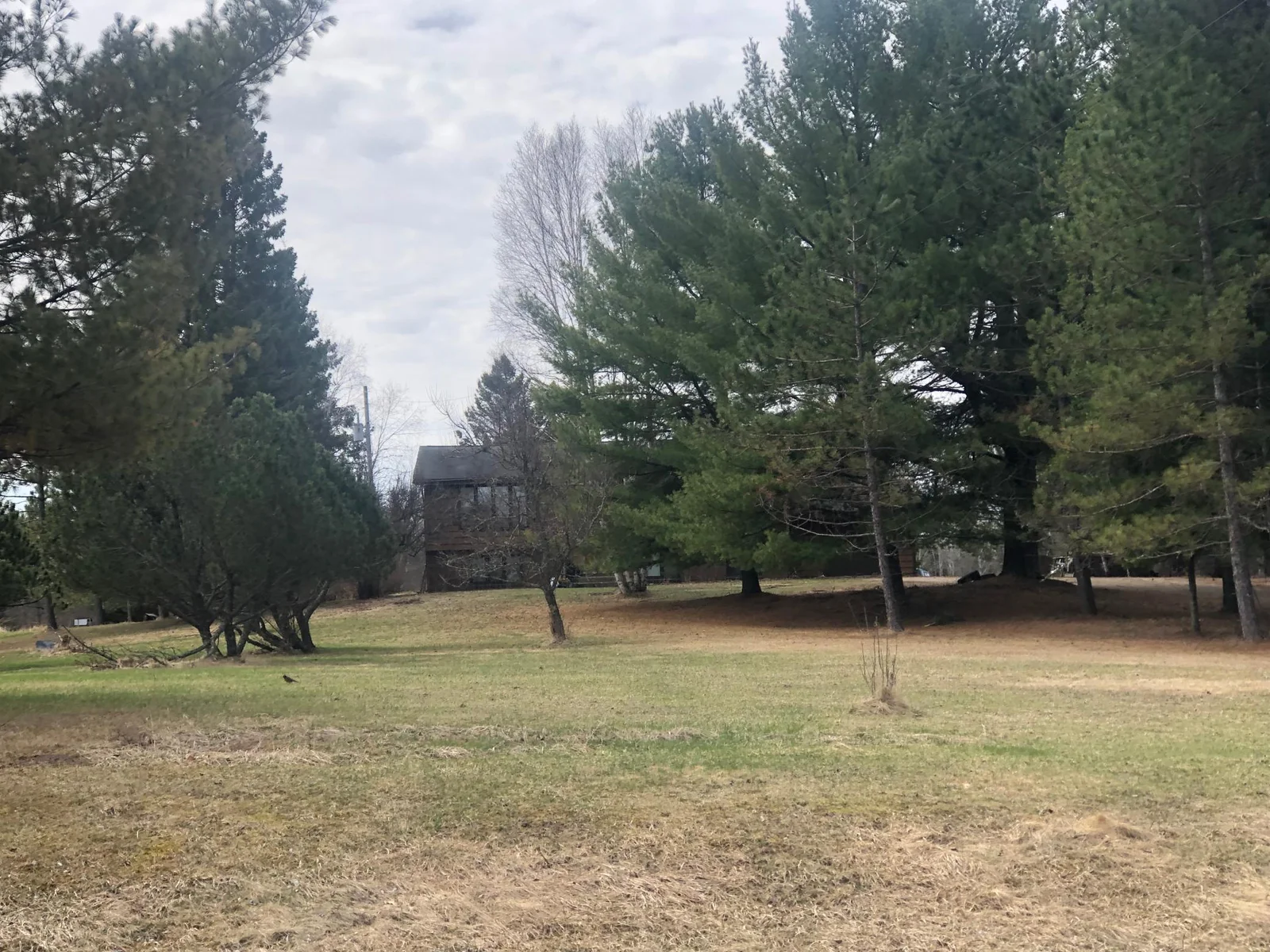 FrontYard.jpg
