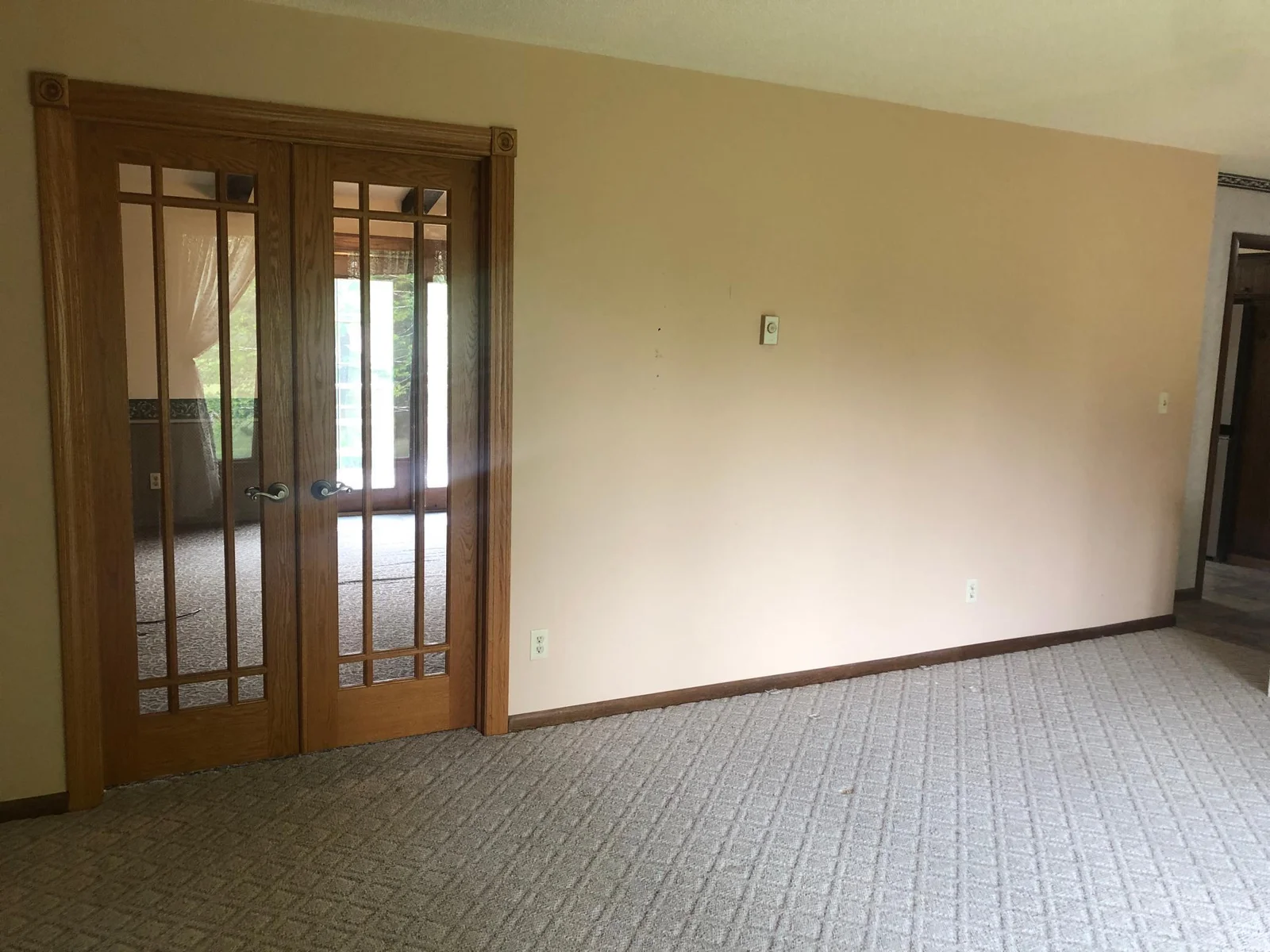 LRfrenchdoors.jpg