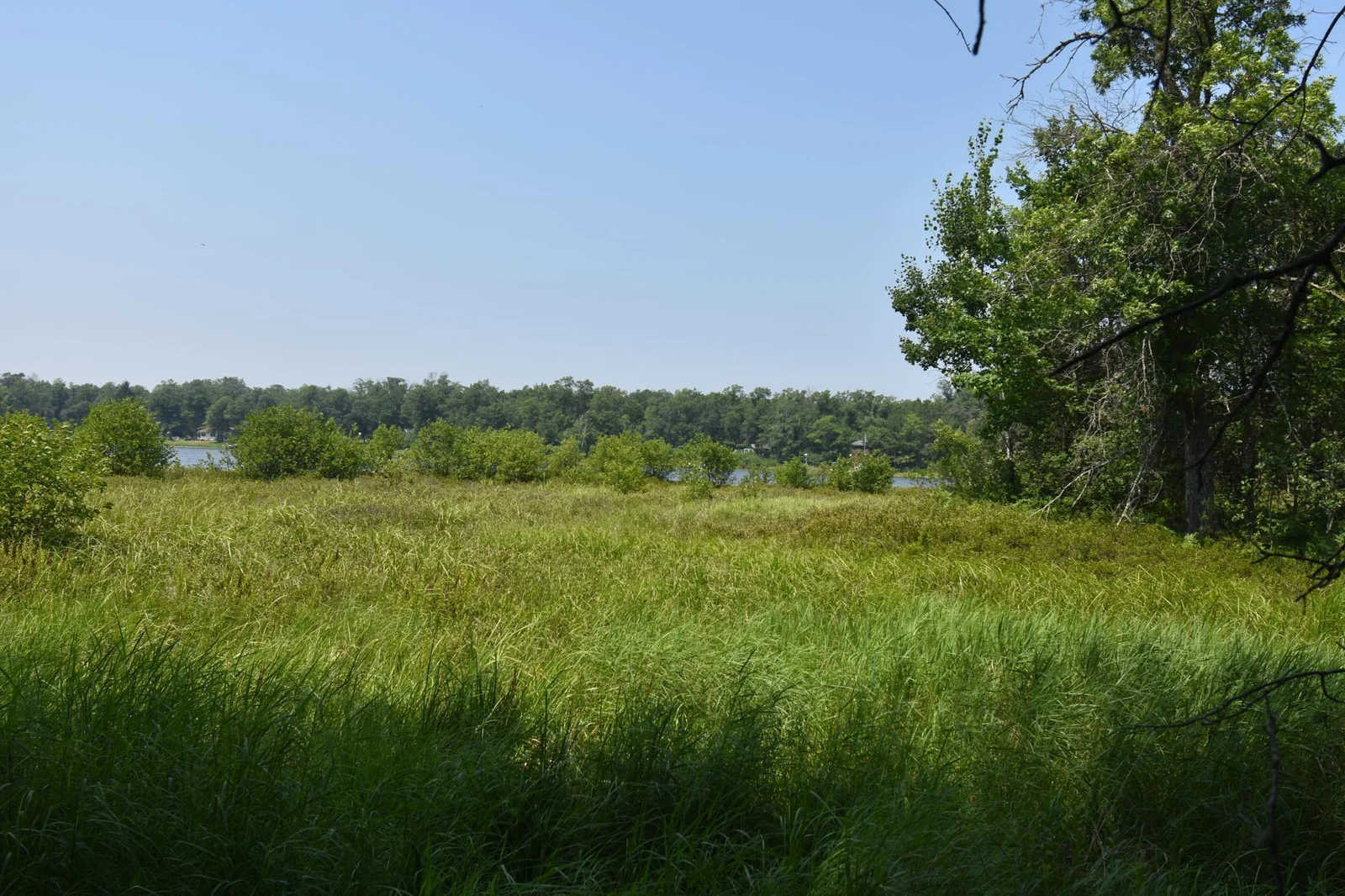 DSC_0892.JPG