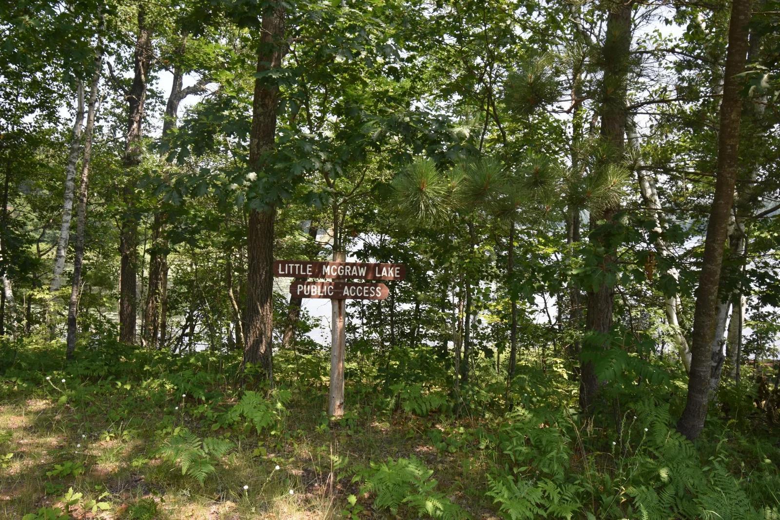 Photo 1 of 332 McGraw Lake Road