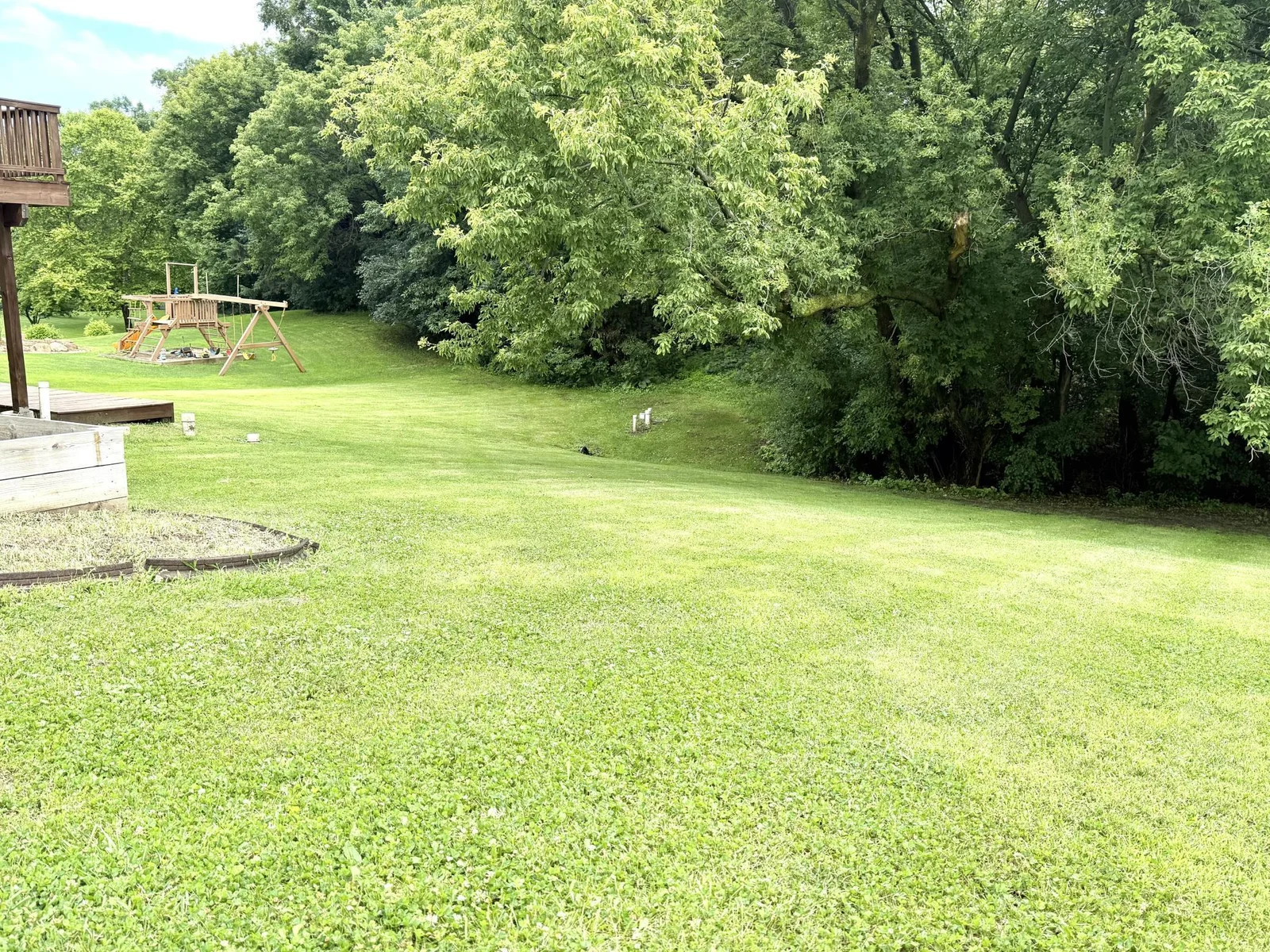 Lots of yard space and room to roam!