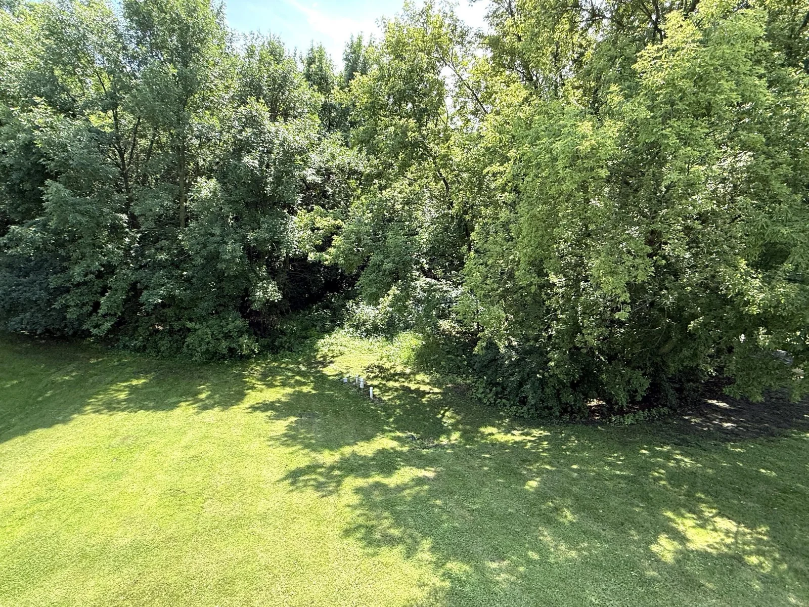 Backyard goes up the hill and takes in the wooded area.