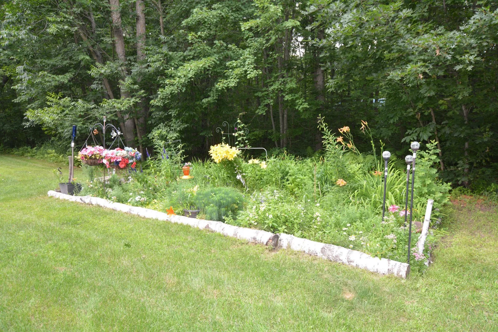 DSC_2639.JPG