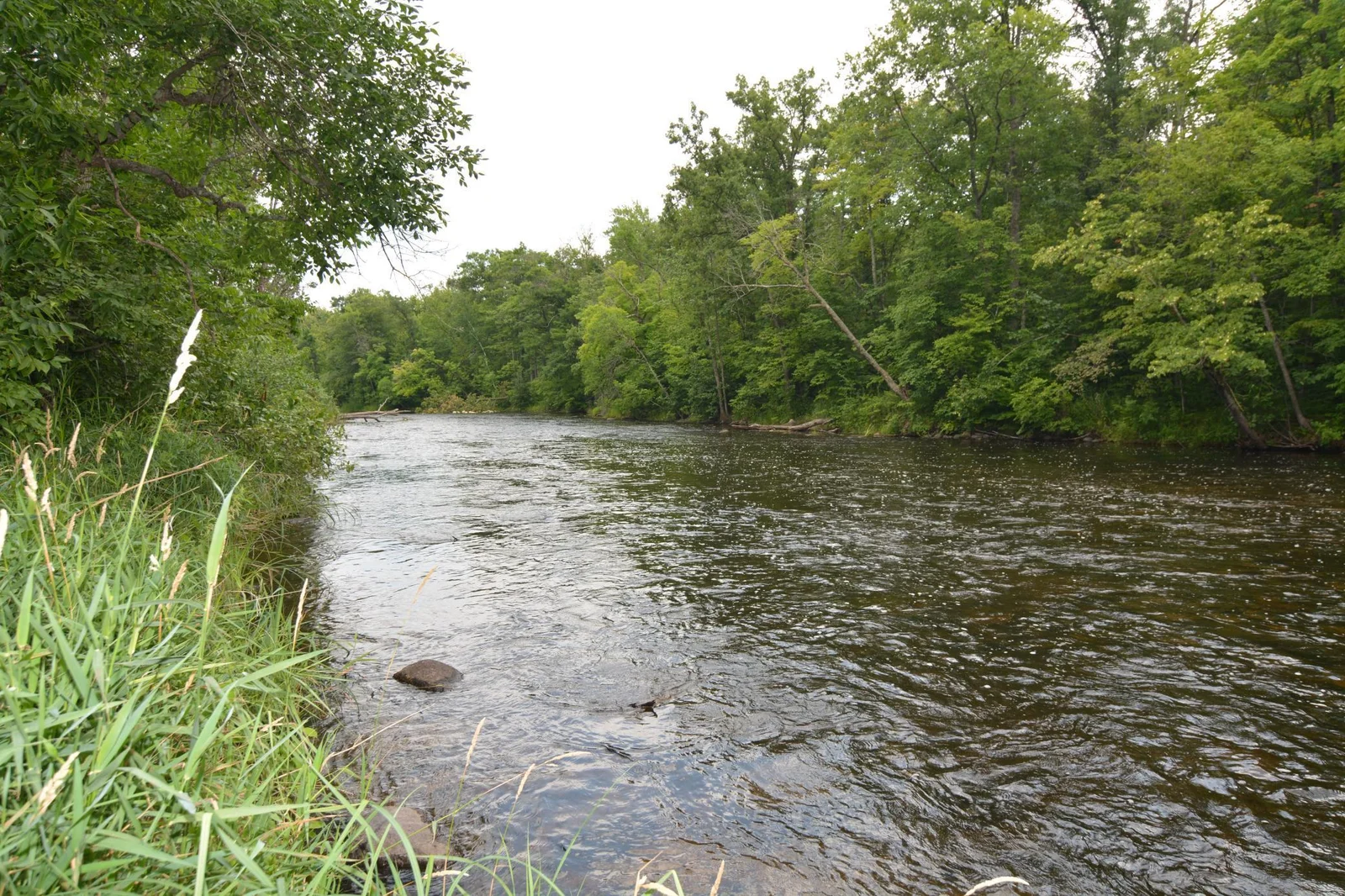 DSC_2651.JPG