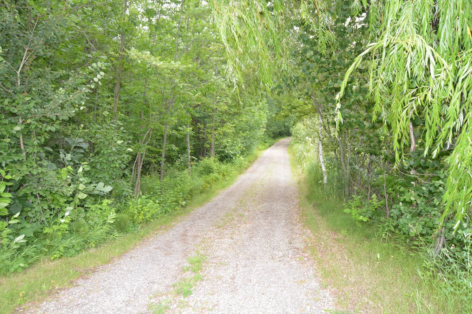 DSC_2711.JPG