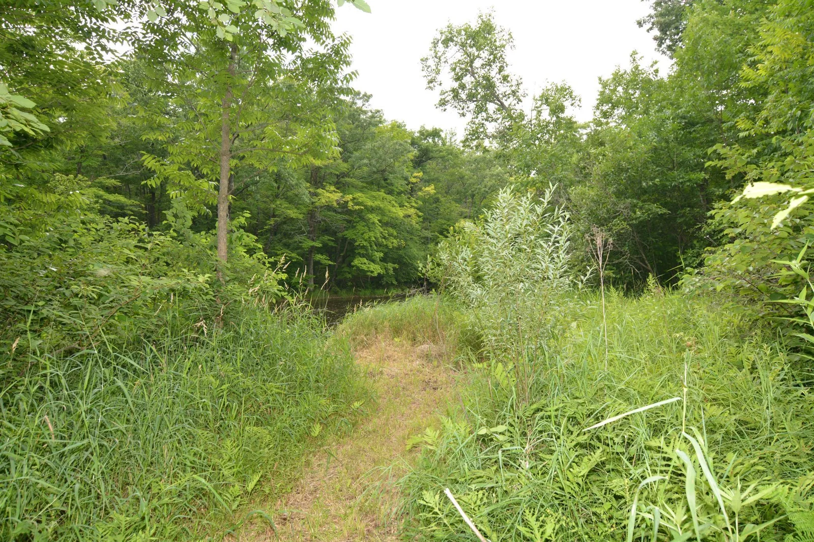 DSC_2653.JPG