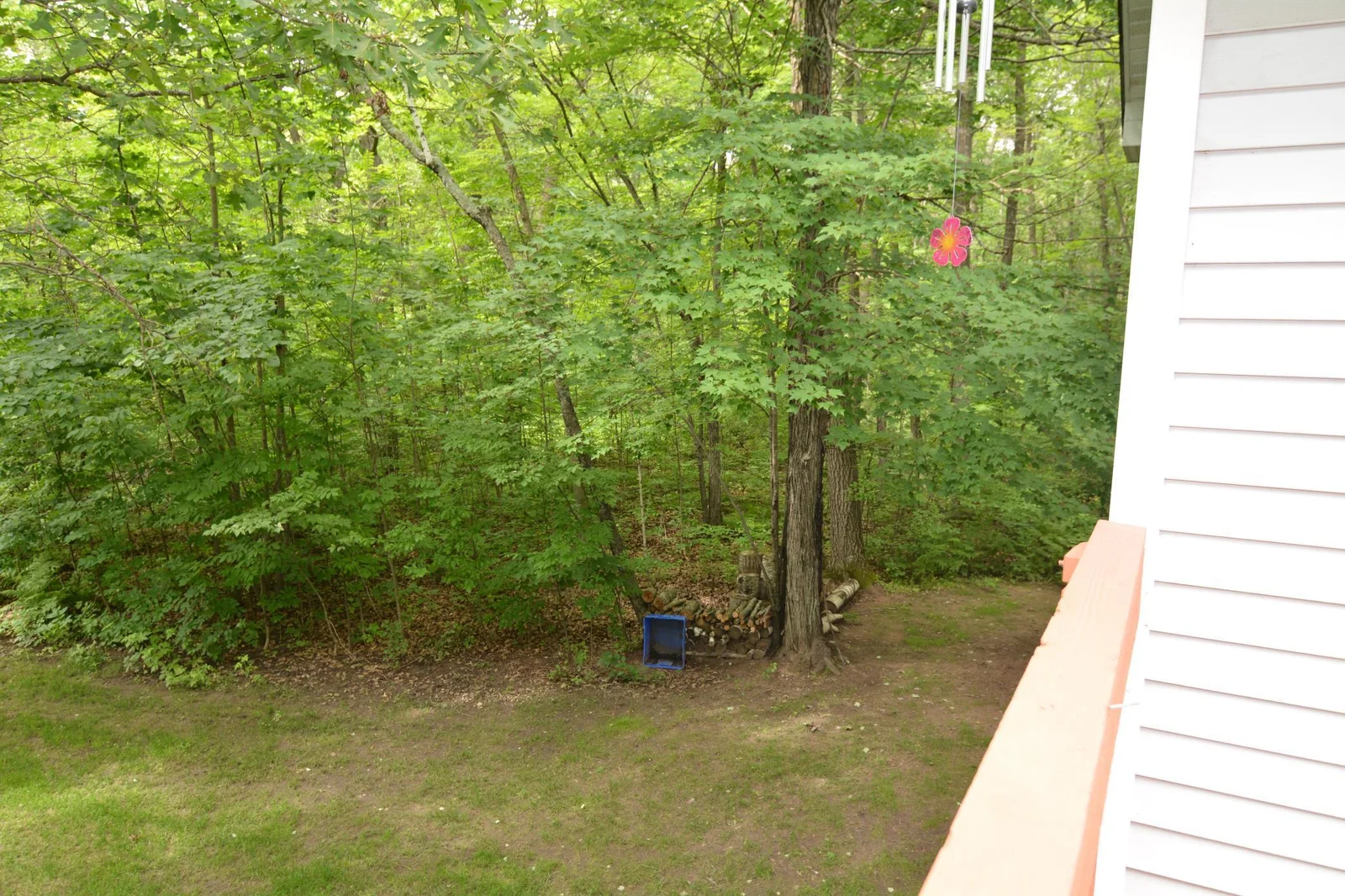 DSC_2684.JPG