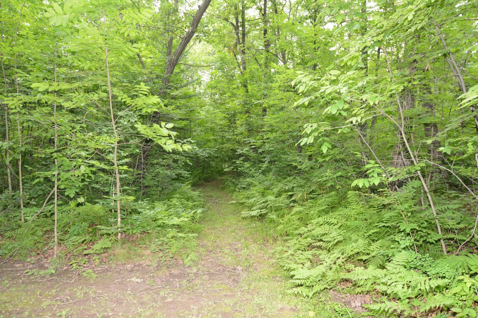 DSC_2649.JPG