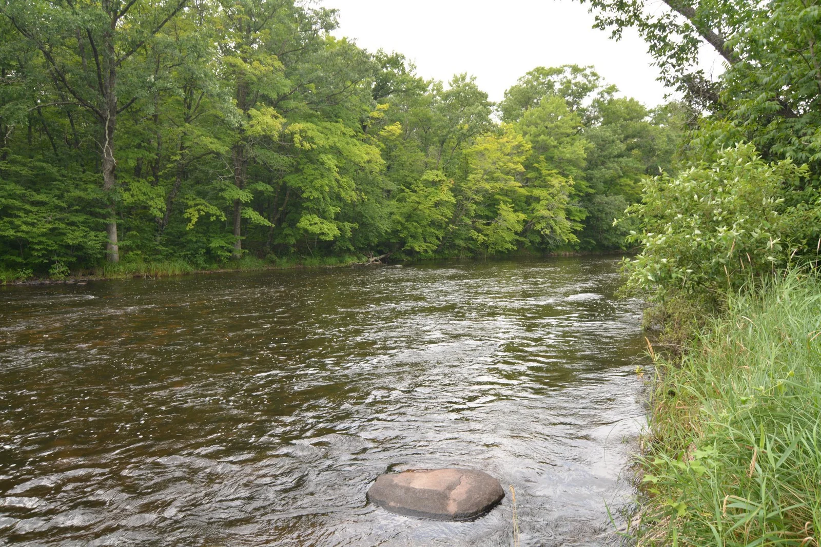 DSC_2652.JPG