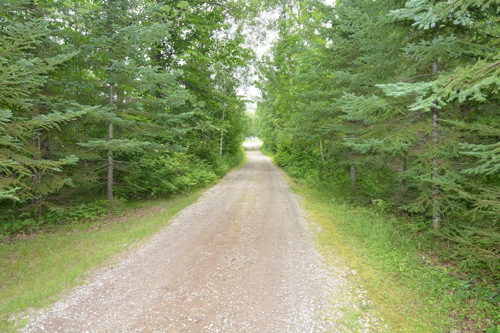 DSC_2707.JPG