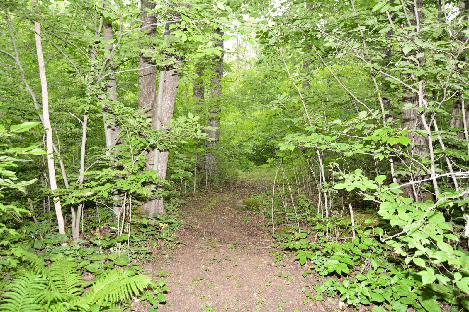 DSC_2654.JPG