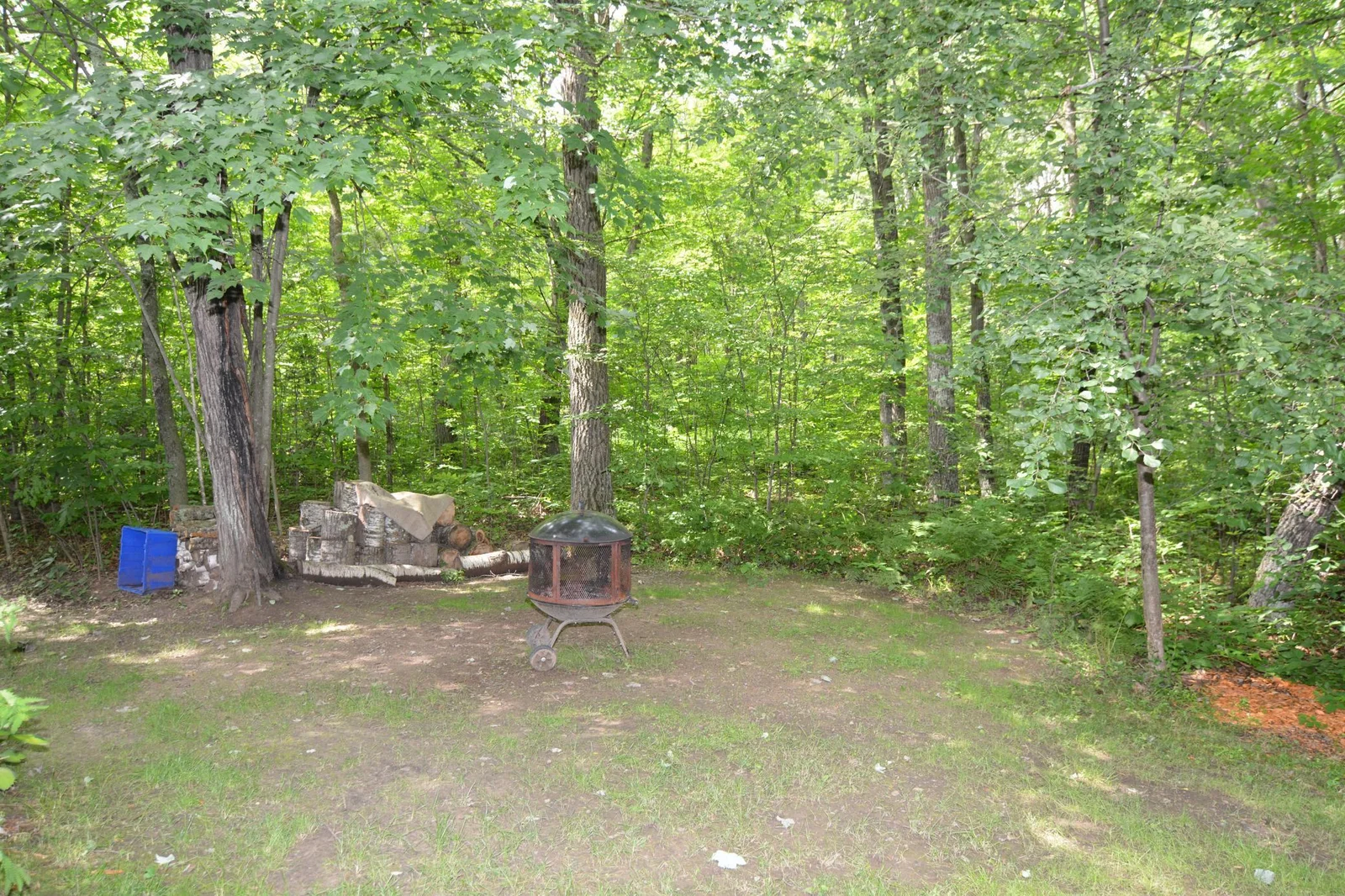 DSC_2643.JPG