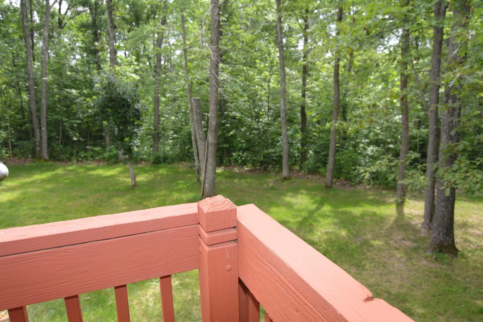DSC_2683.JPG