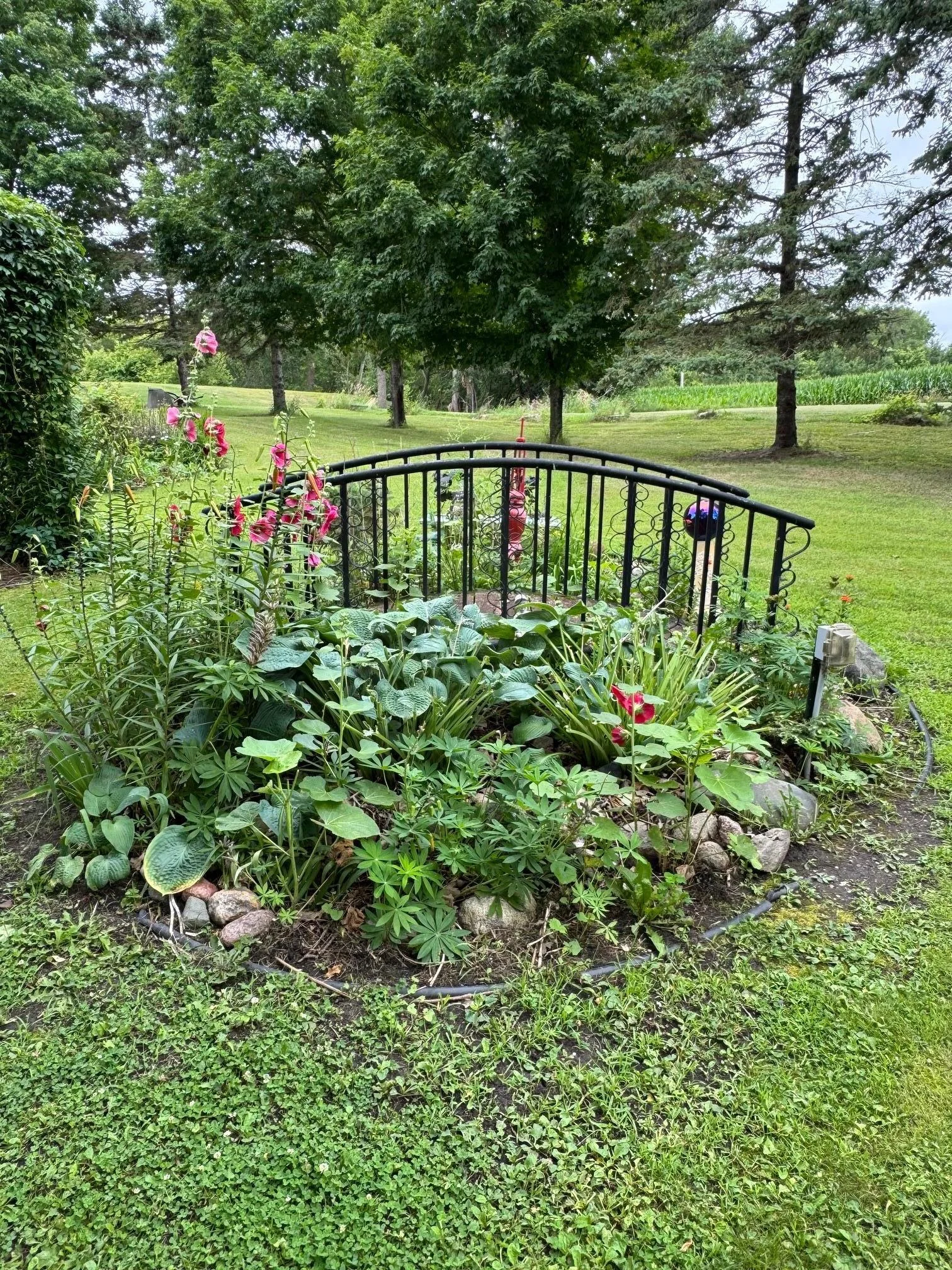 perennial garden 3.jpg