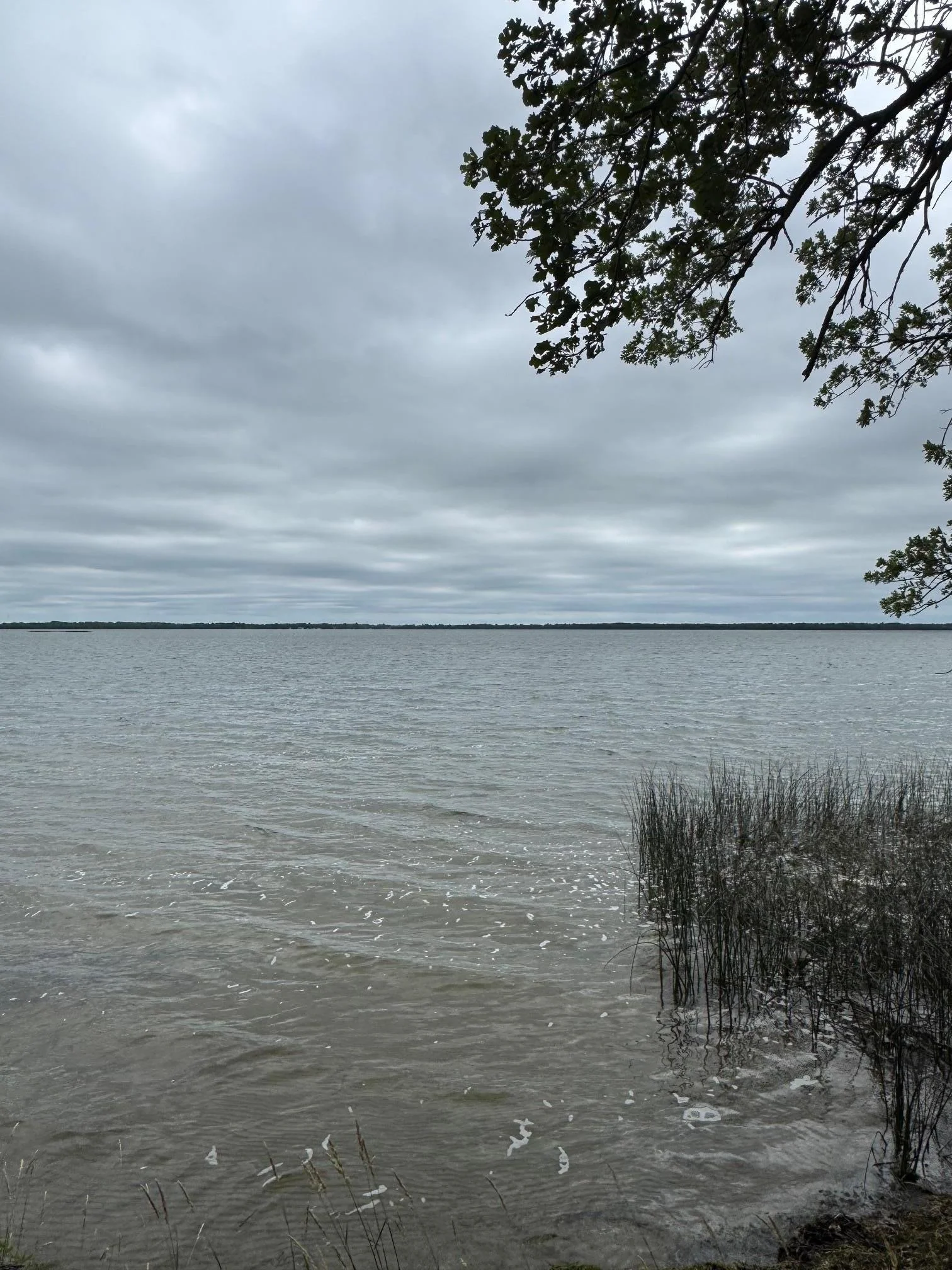 shoreline.jpg