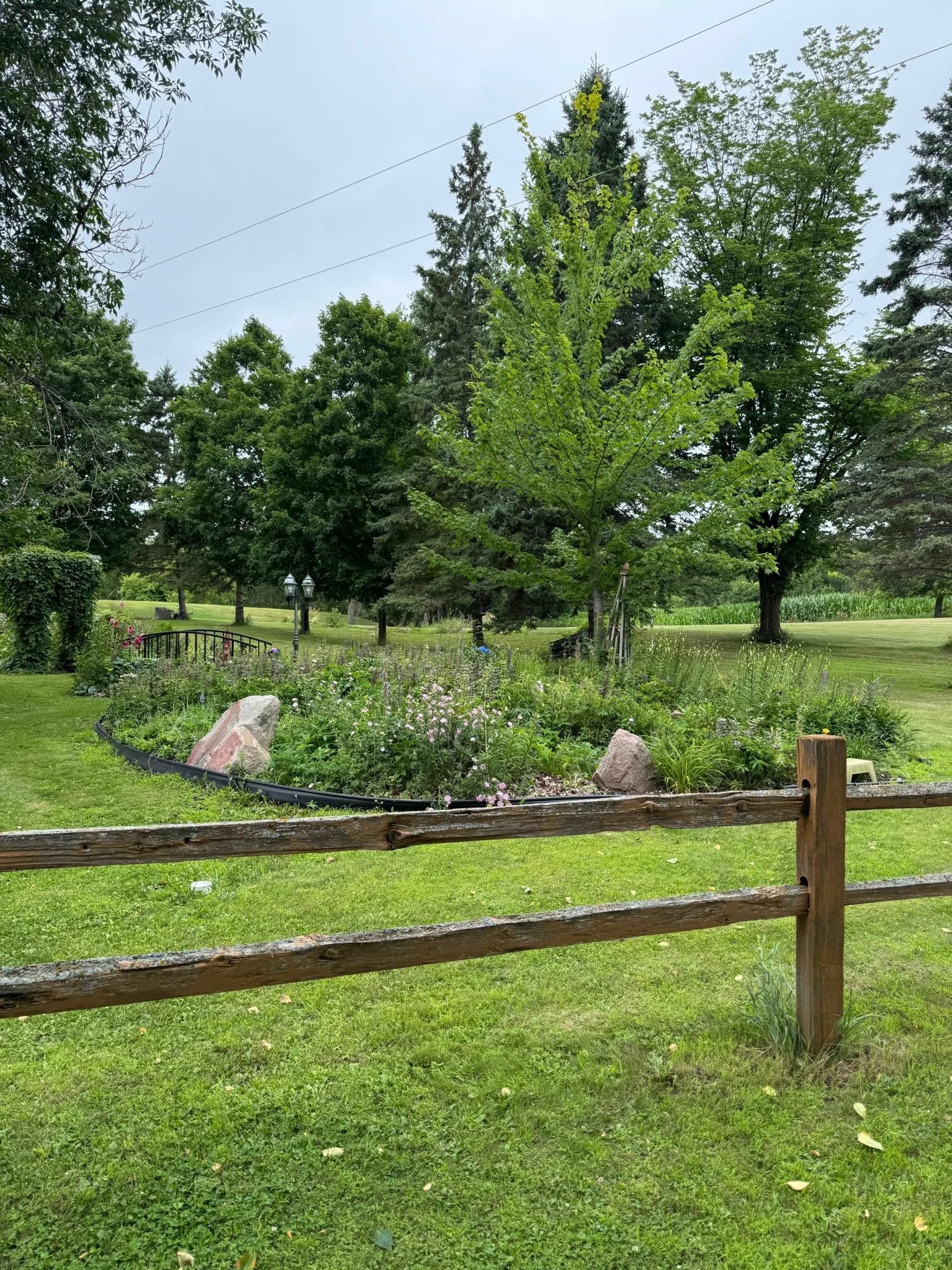 perannial garden 2.jpg