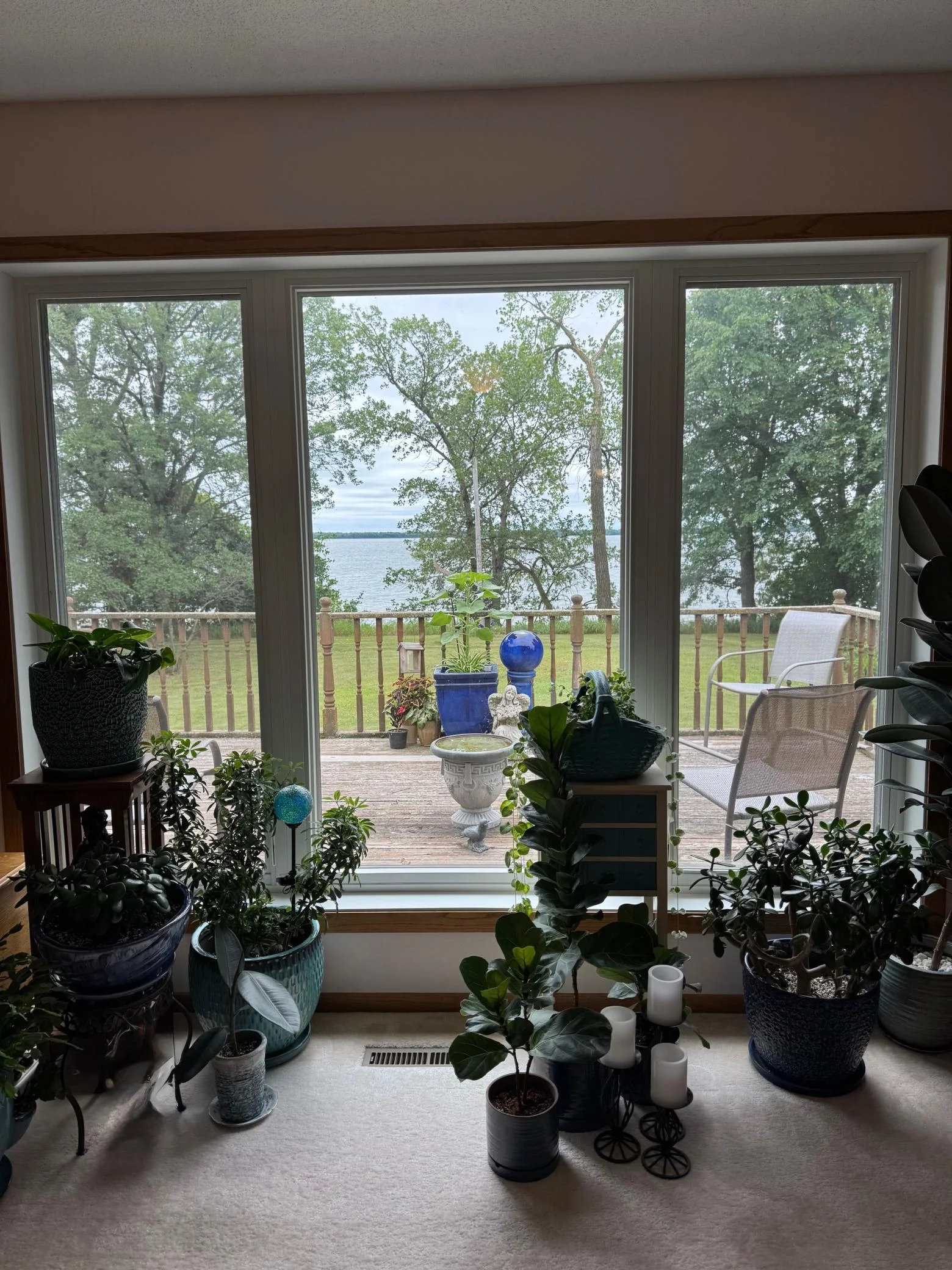 view from living.jpg