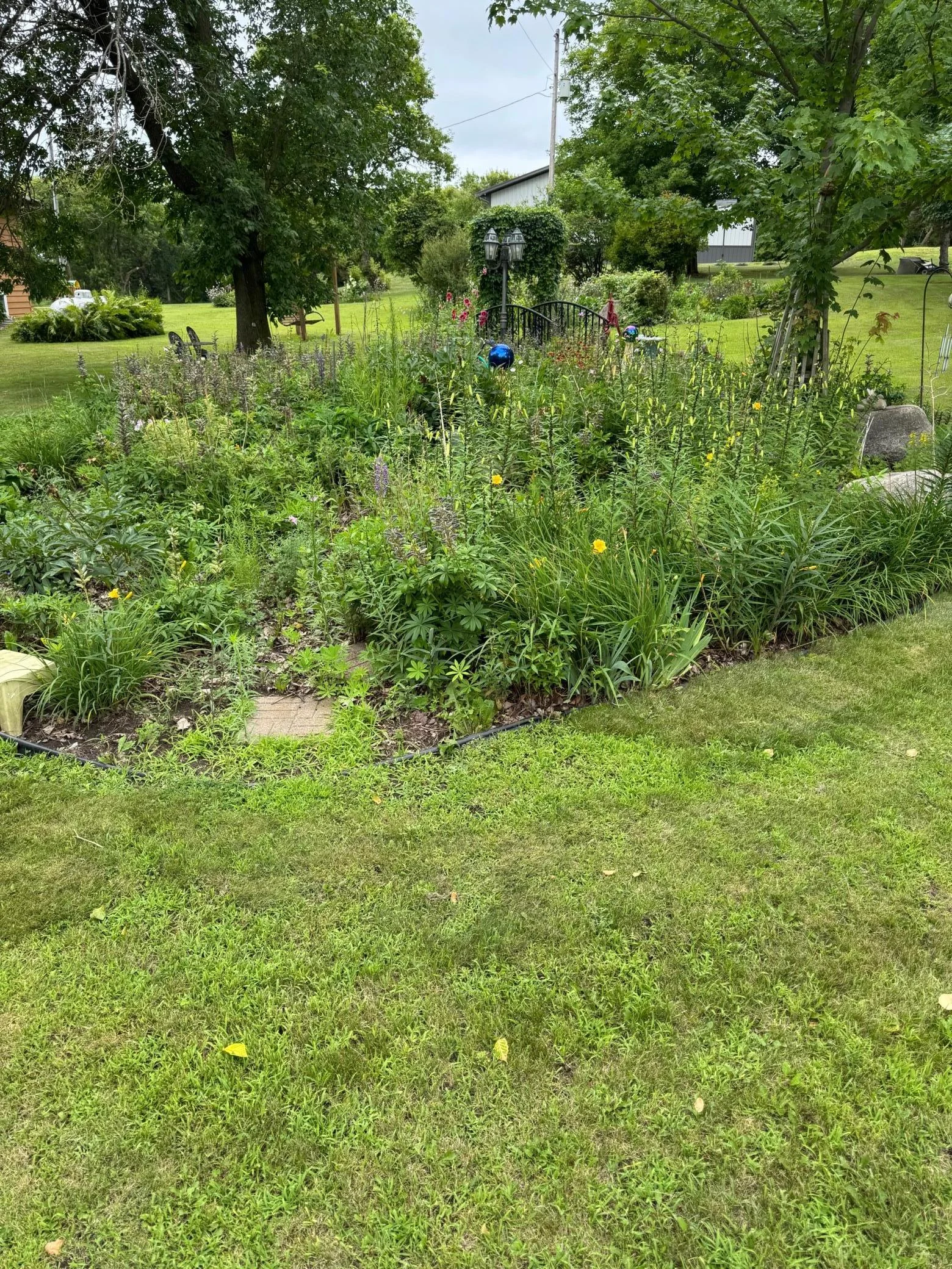 perennial garden.jpg
