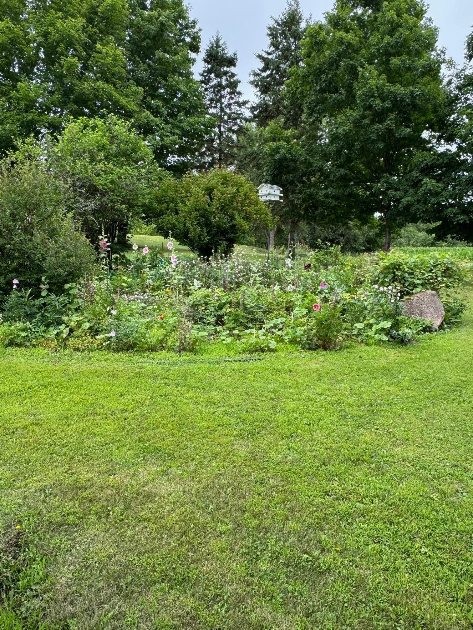 perennial garden 4.jpg