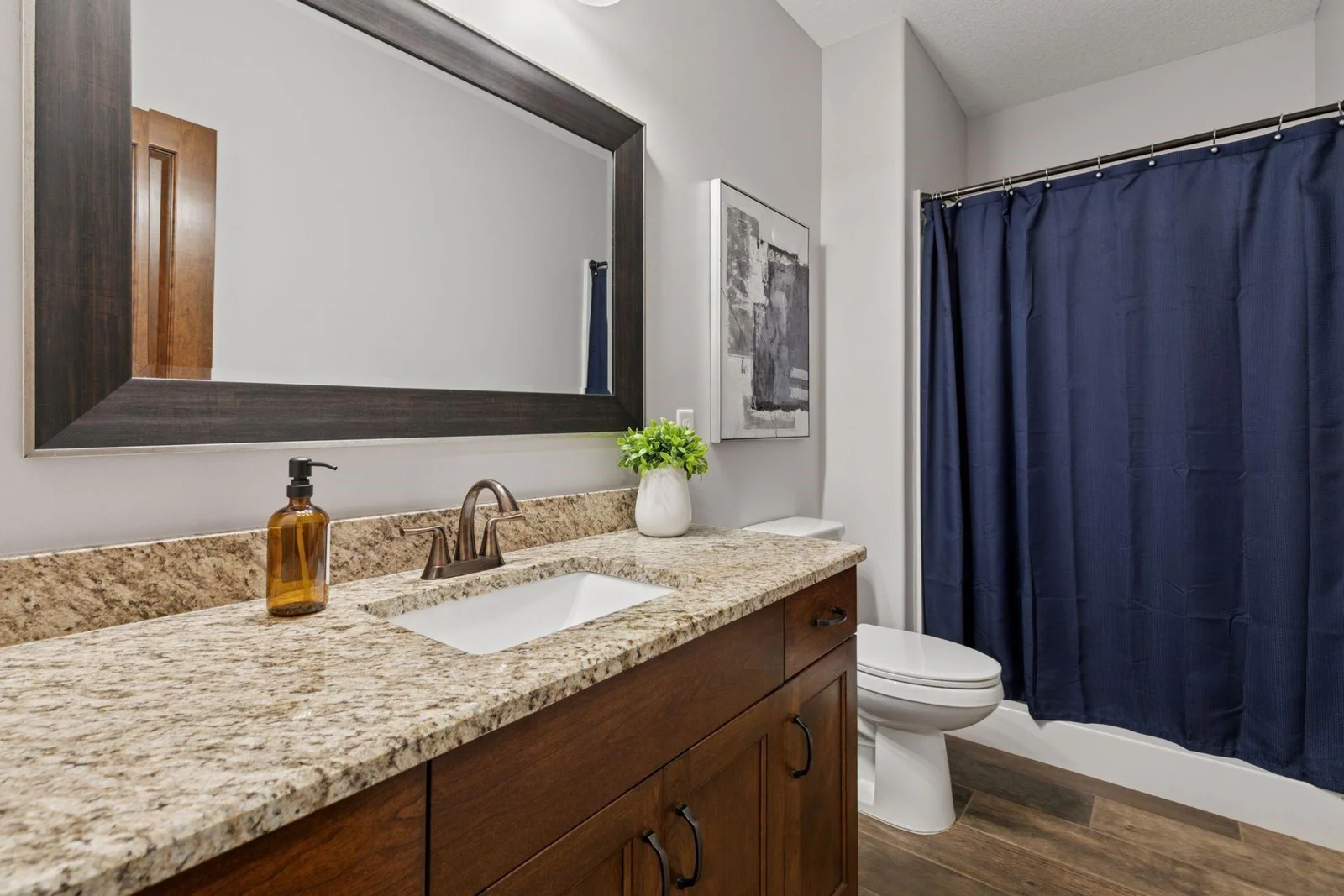 Bathroom Lower Level