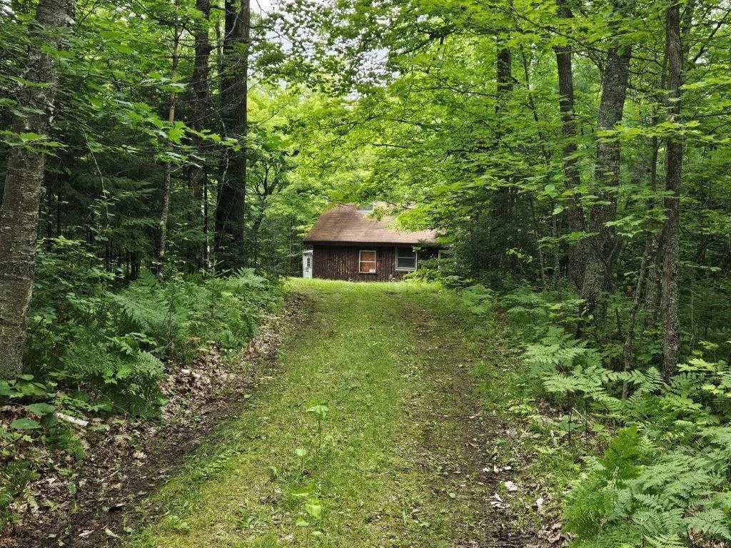 20250721_163450.jpg
