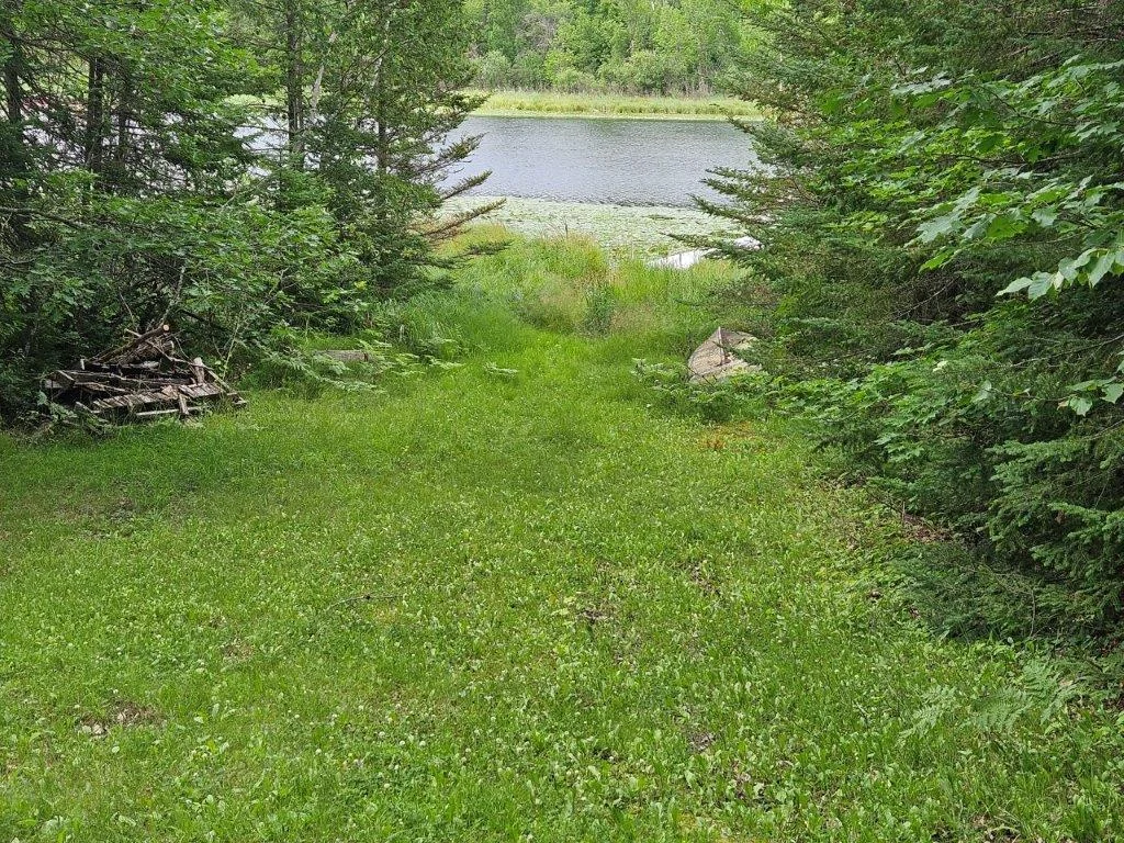20250721_162526.jpg