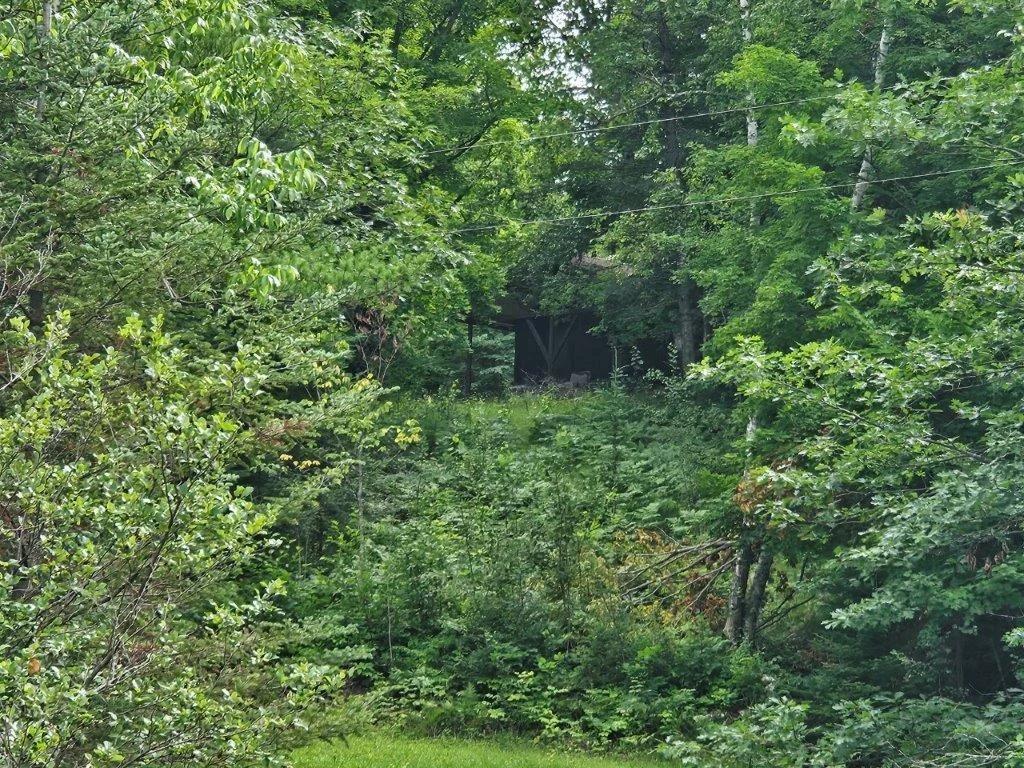 20250721_162708.jpg