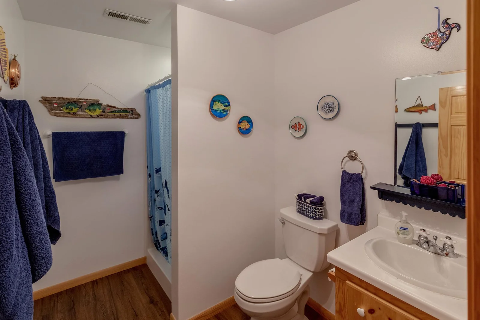 Lower bath with Shower