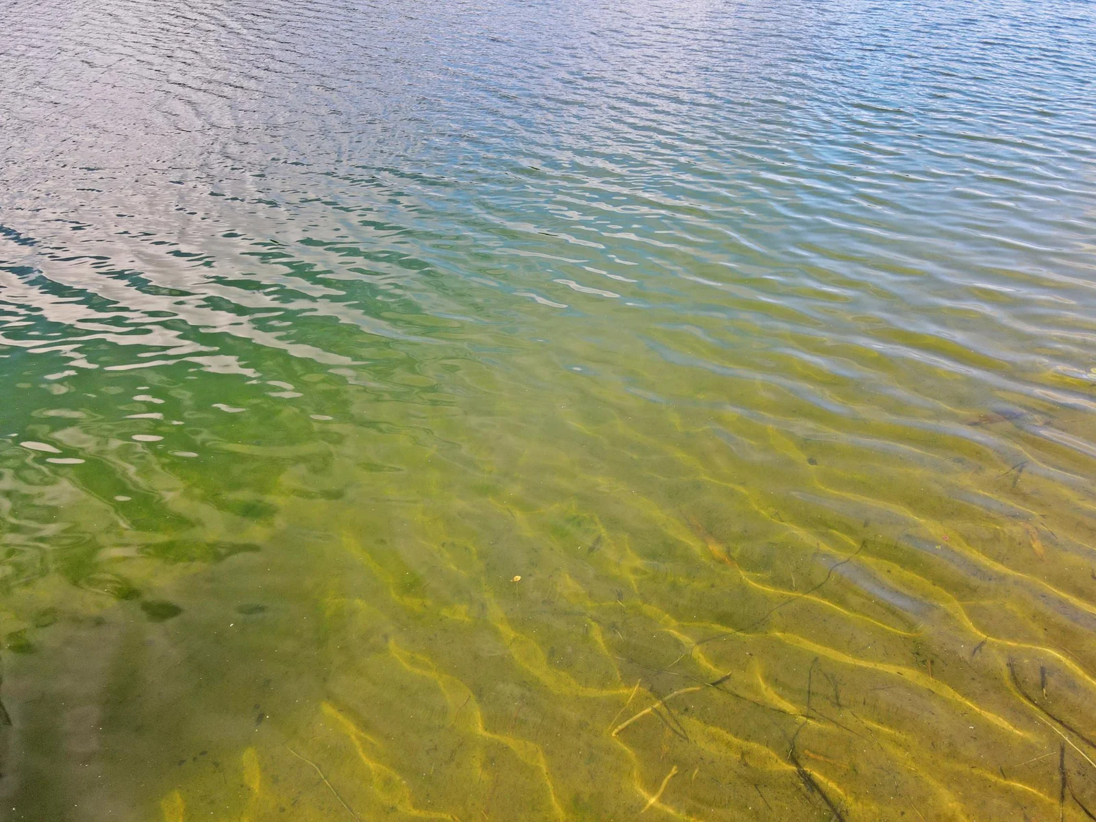 dji_fly_20250708_074544_937_1751978752595_photo.jpg
