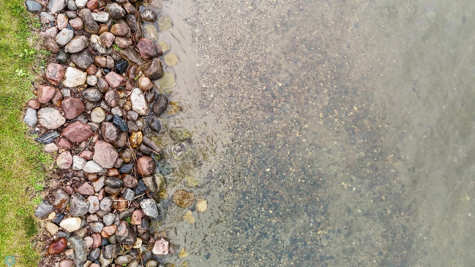 Shore