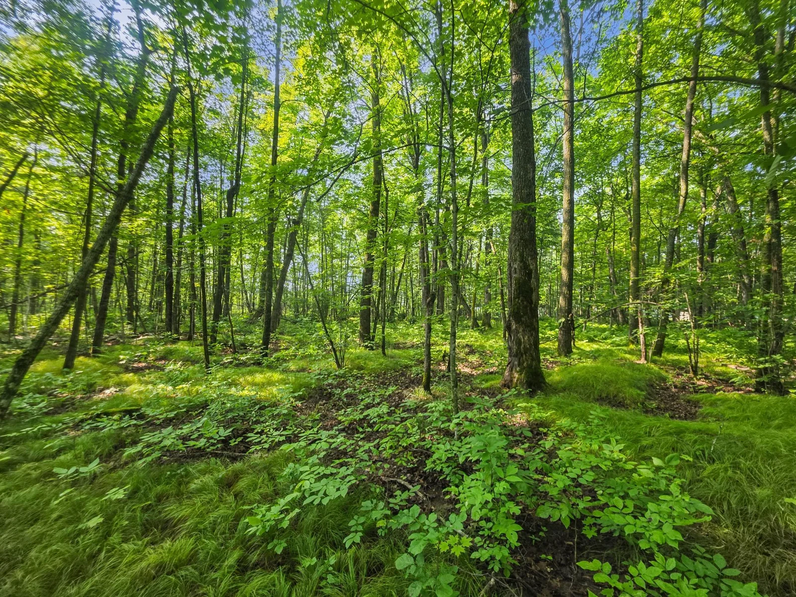 20250724_100101.jpg