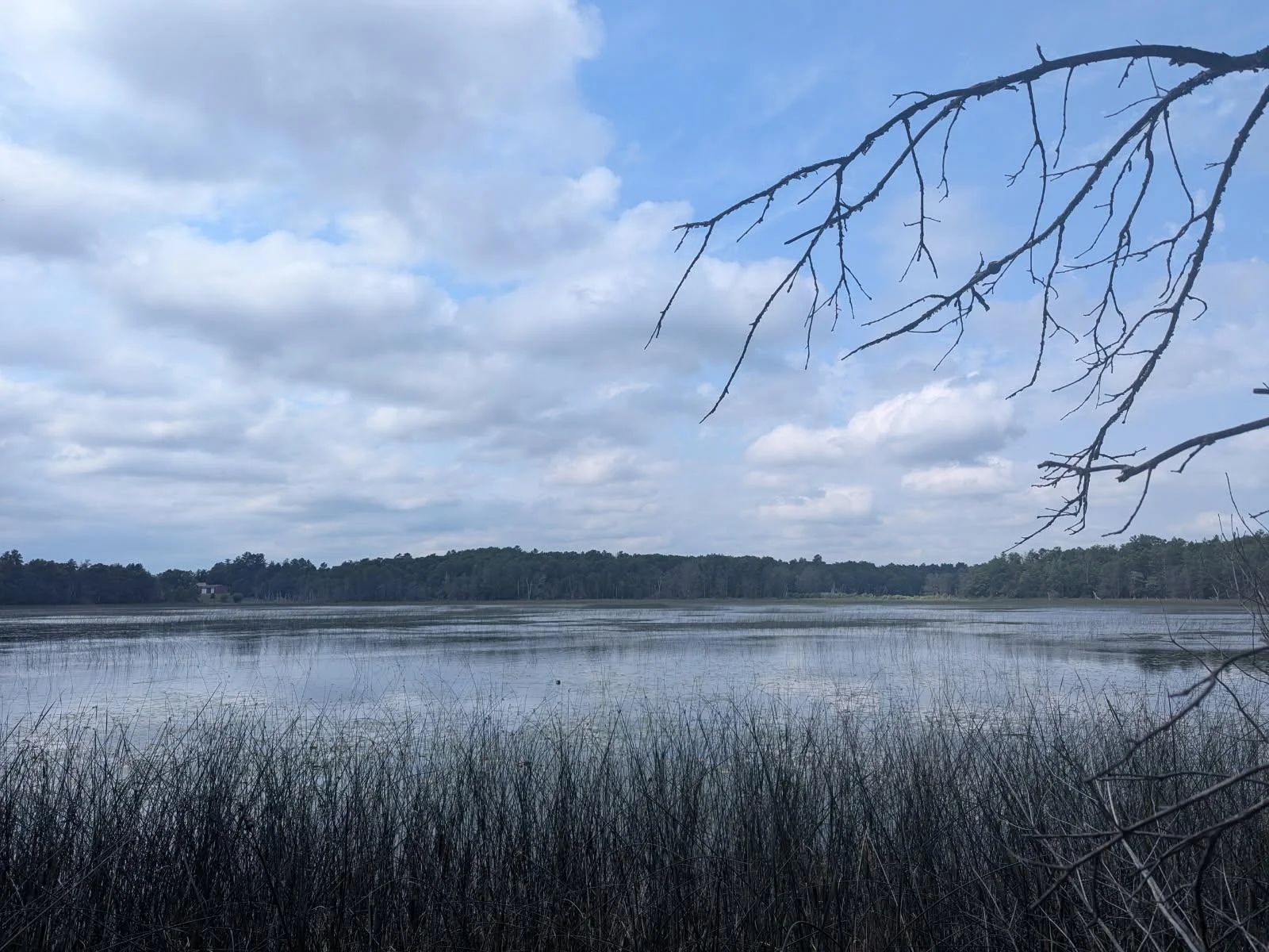 Photo 1 of Dobosenski