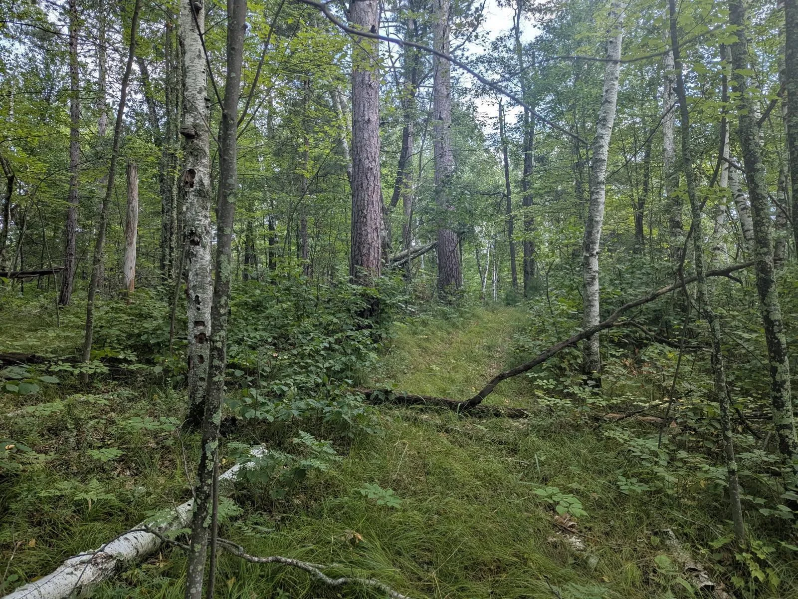 image000000.jpg