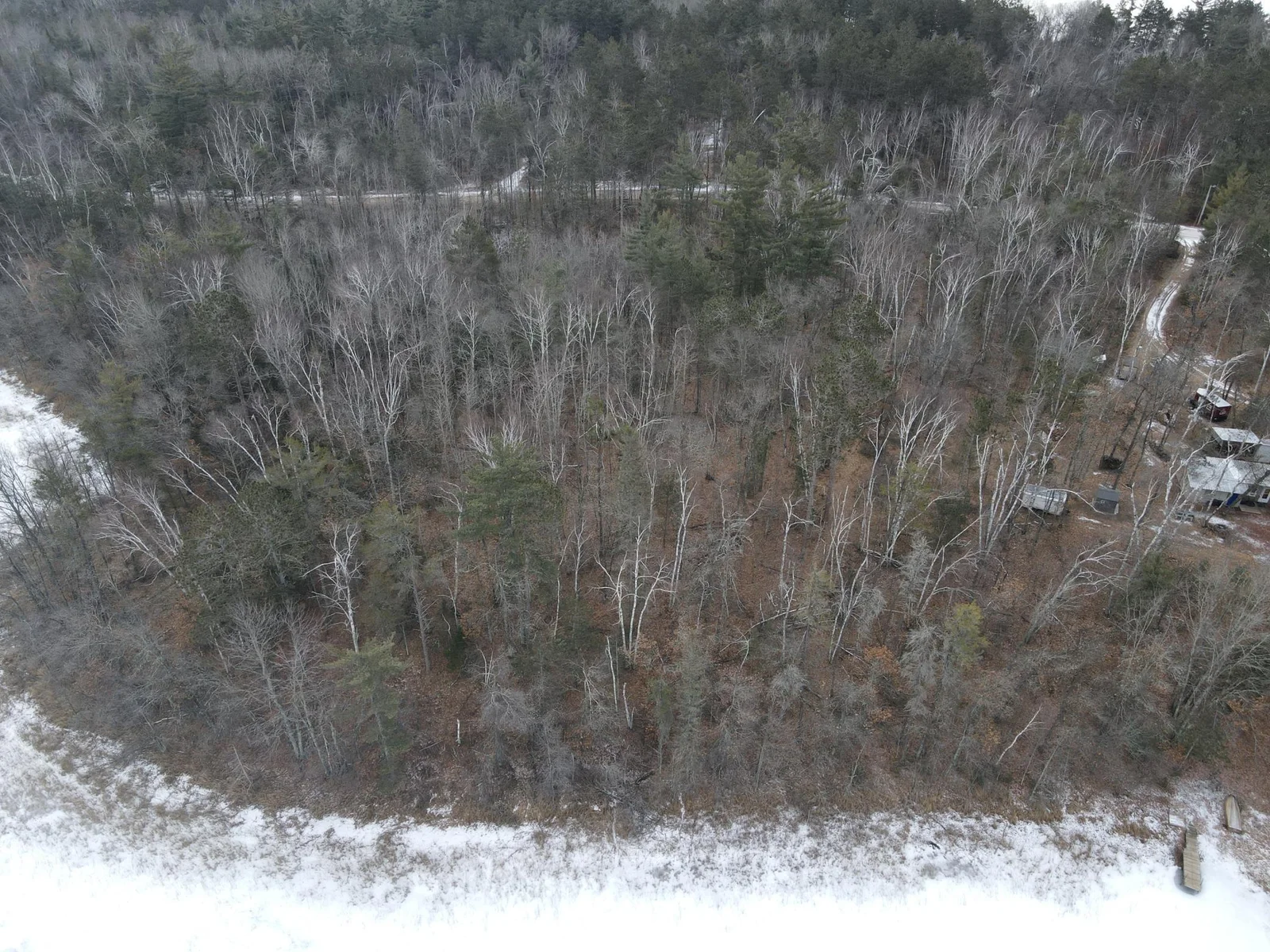 DJI_0781.JPG